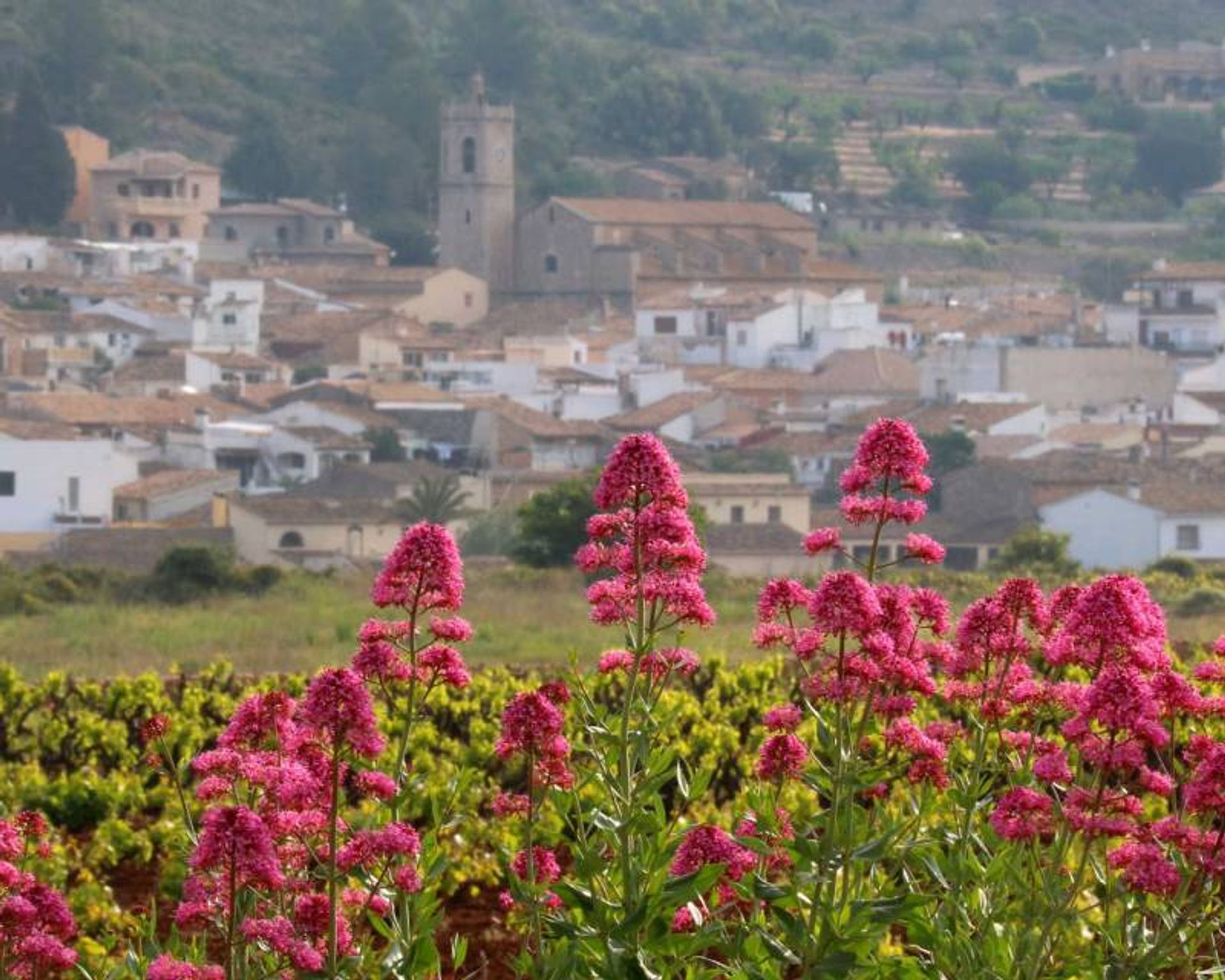 Rumah di Llíber, Comunidad Valenciana 12809725