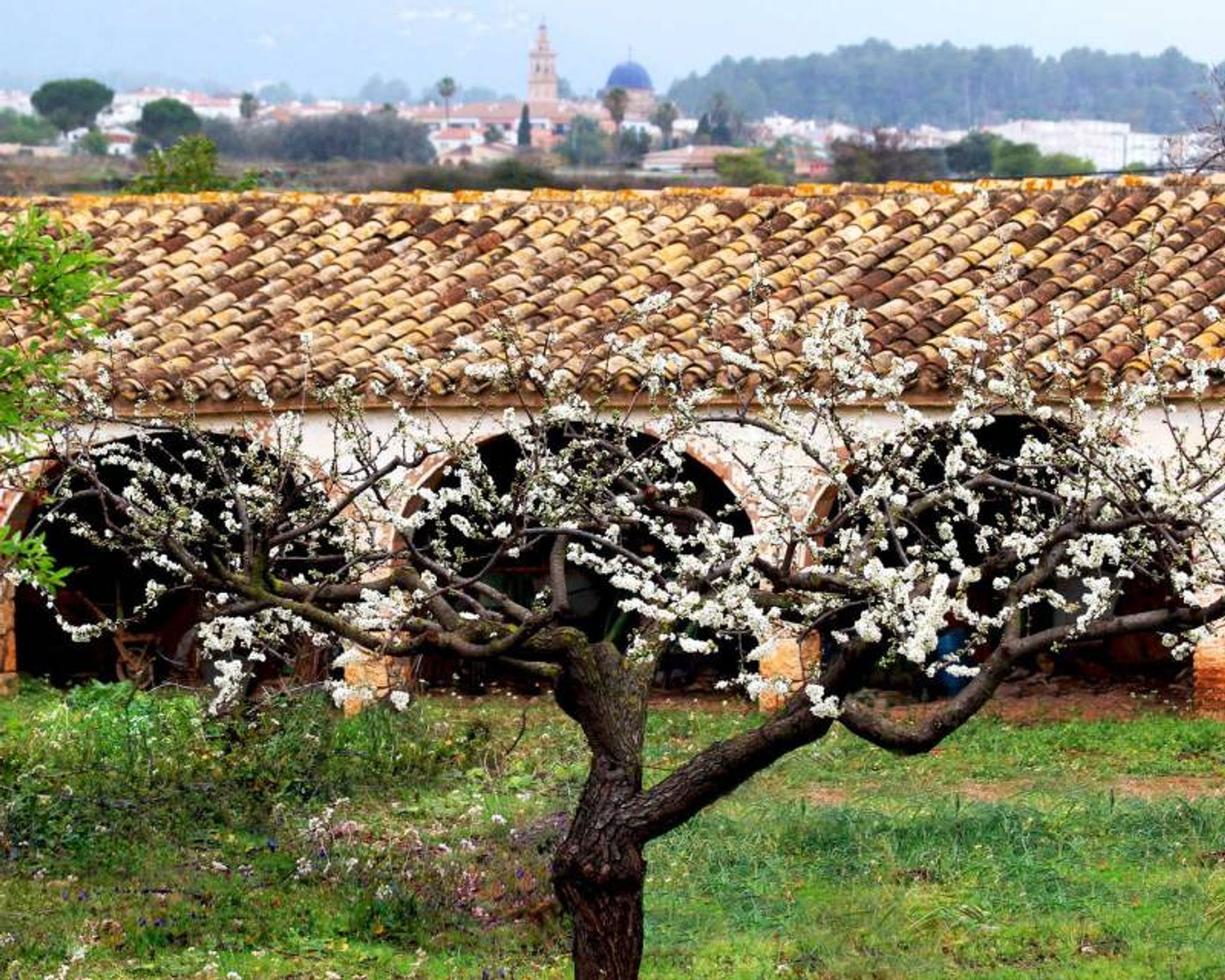 Rumah di Llíber, Comunidad Valenciana 12809725