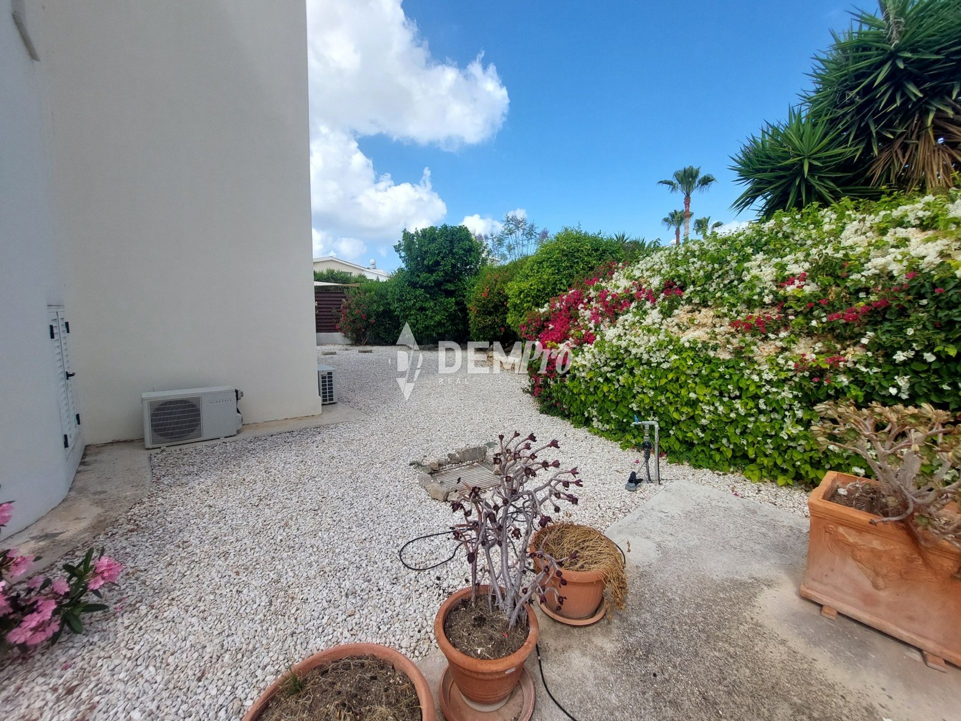 House in Peyia, Paphos 12810416