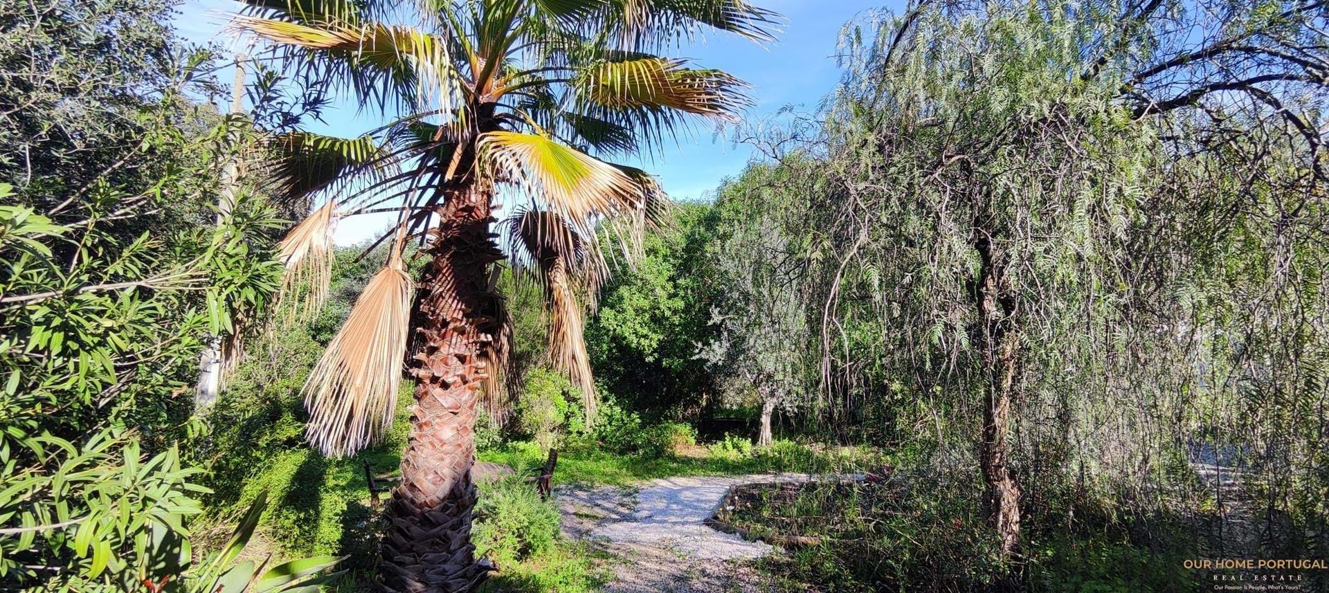 House in Benafim, Faro District 12810814