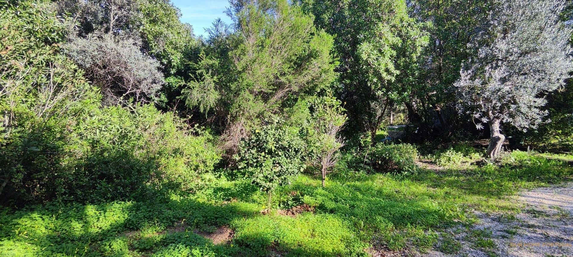 House in Benafim, Faro District 12810814