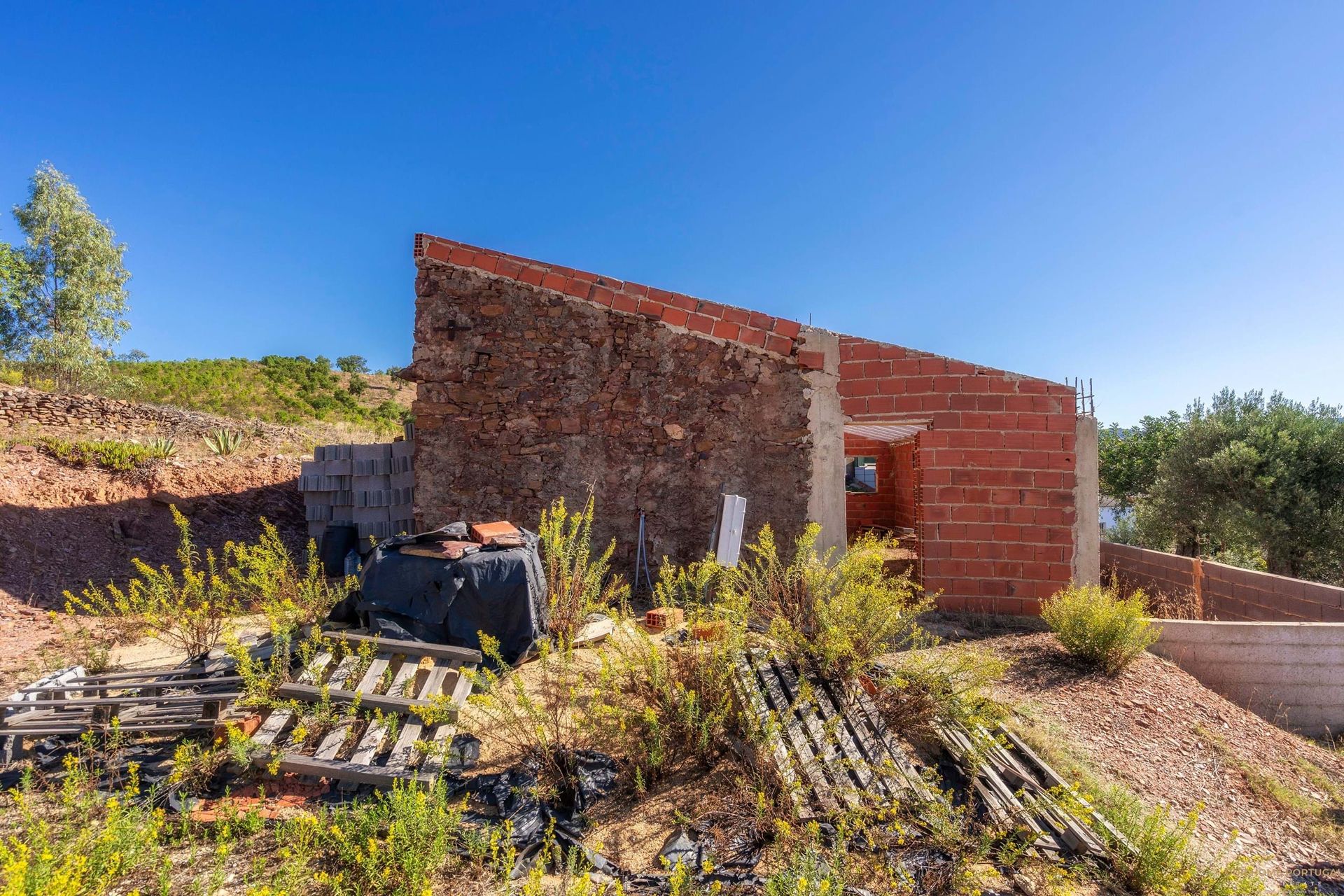 casa en Salir, Faraón 12810819