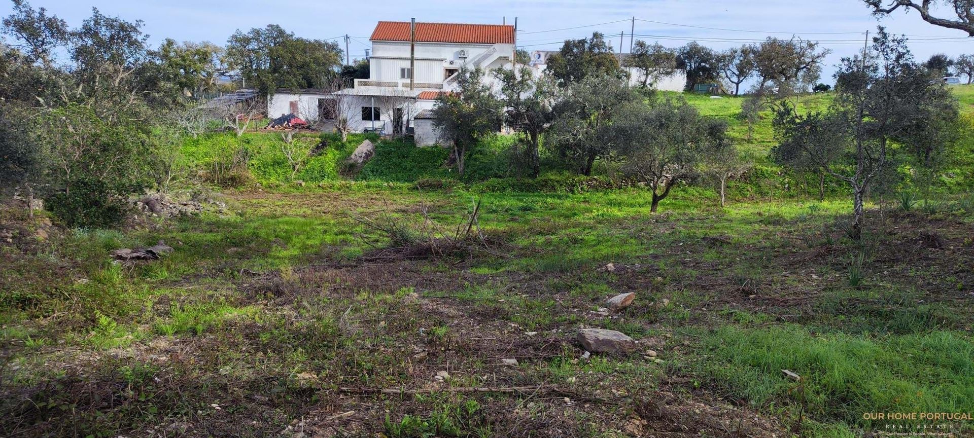 Tierra en Salir, Faraón 12810822