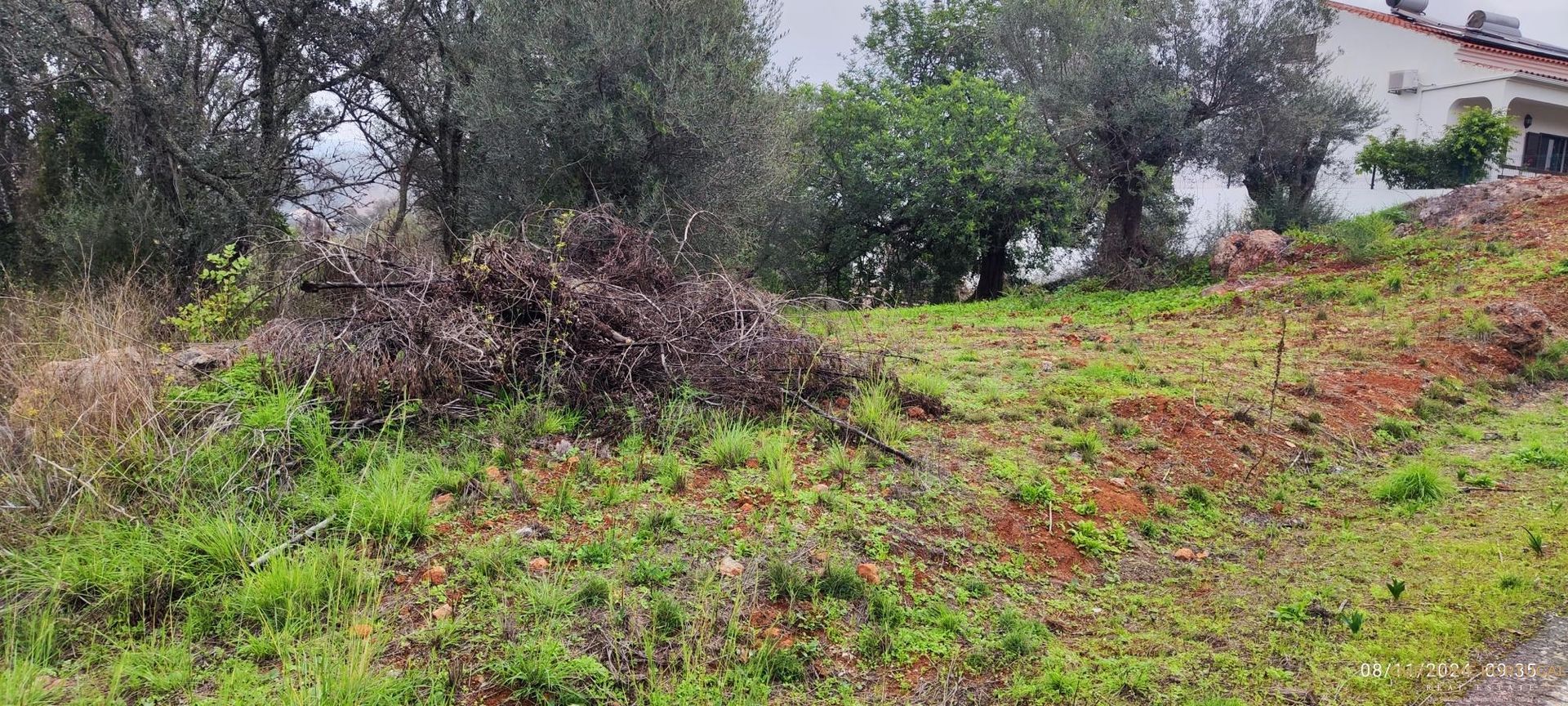 Tierra en Salir, Faraón 12810825