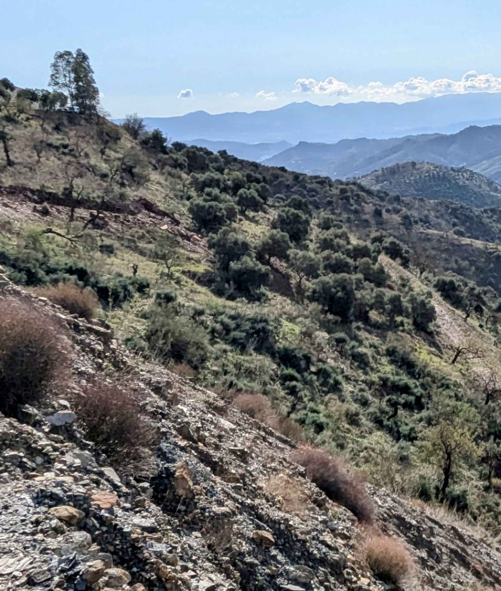 Talo sisään Almogía, Andalucía 12810984