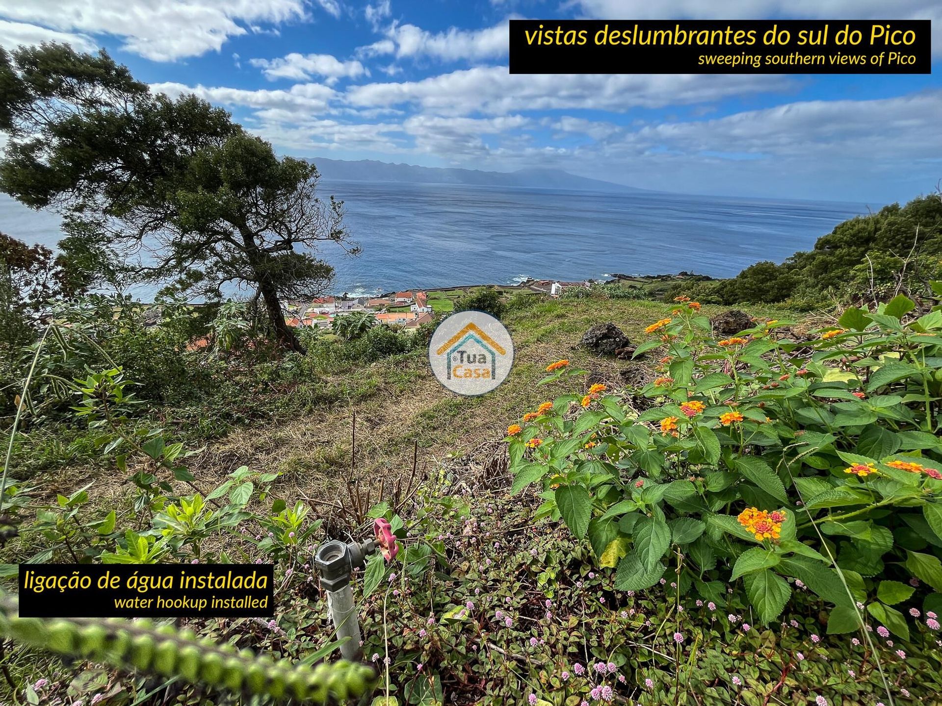 Tierra en Calheta, Azores 12811707