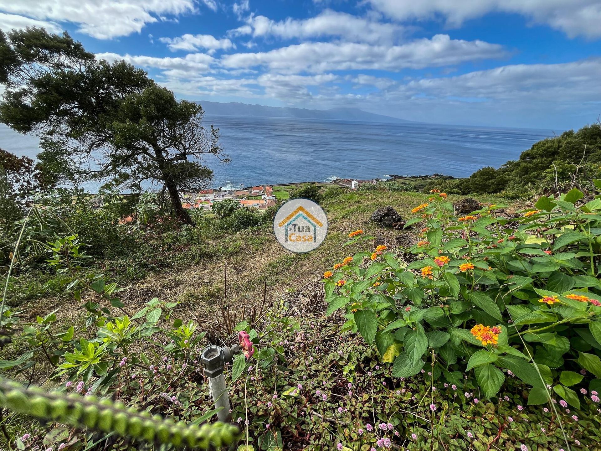 الأرض في Calheta, Azores 12811707