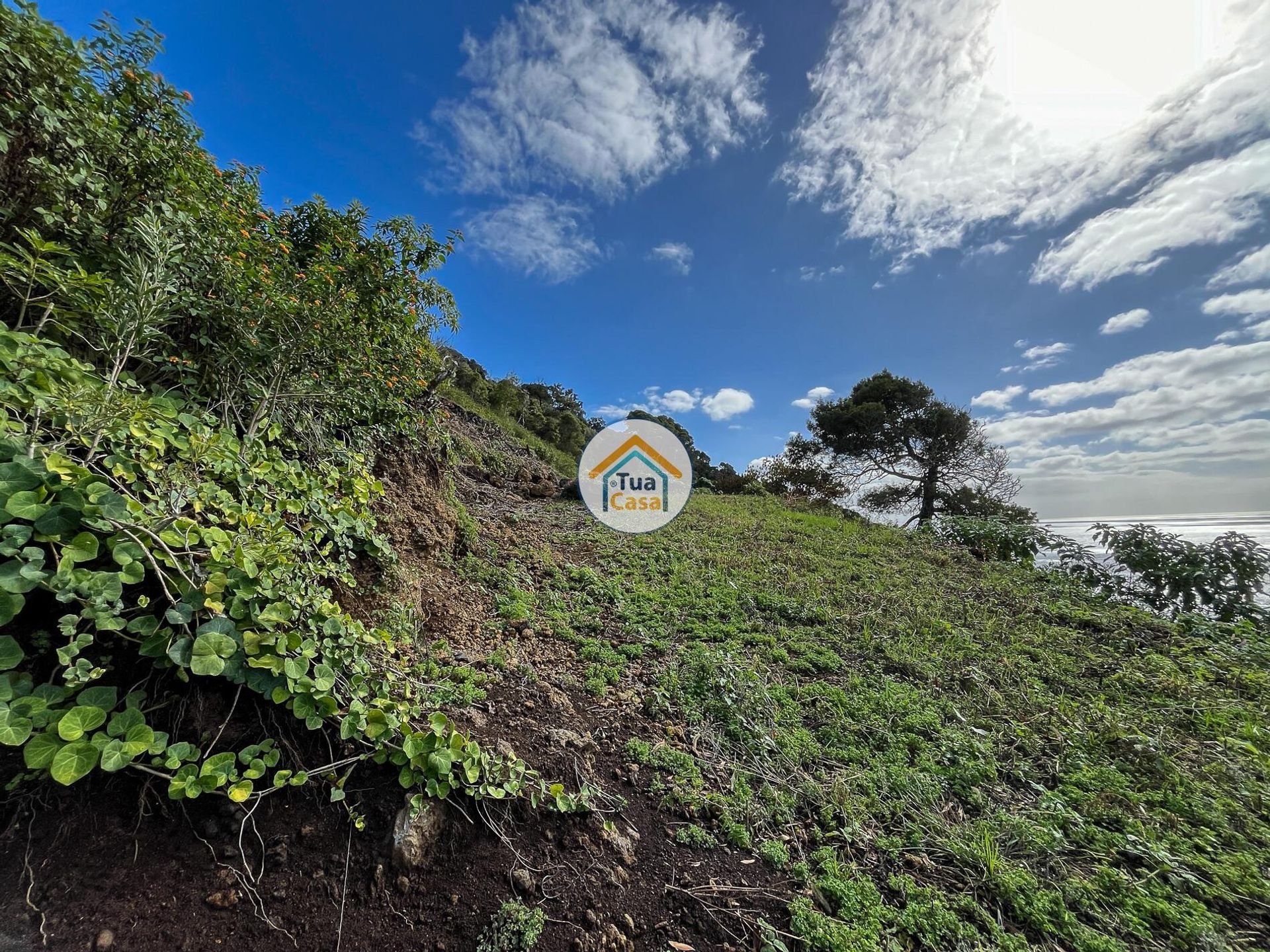 الأرض في Calheta, Azores 12811707