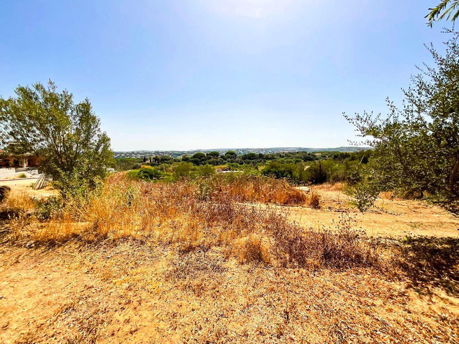 Terra no San Roque, Andalucía 12812236