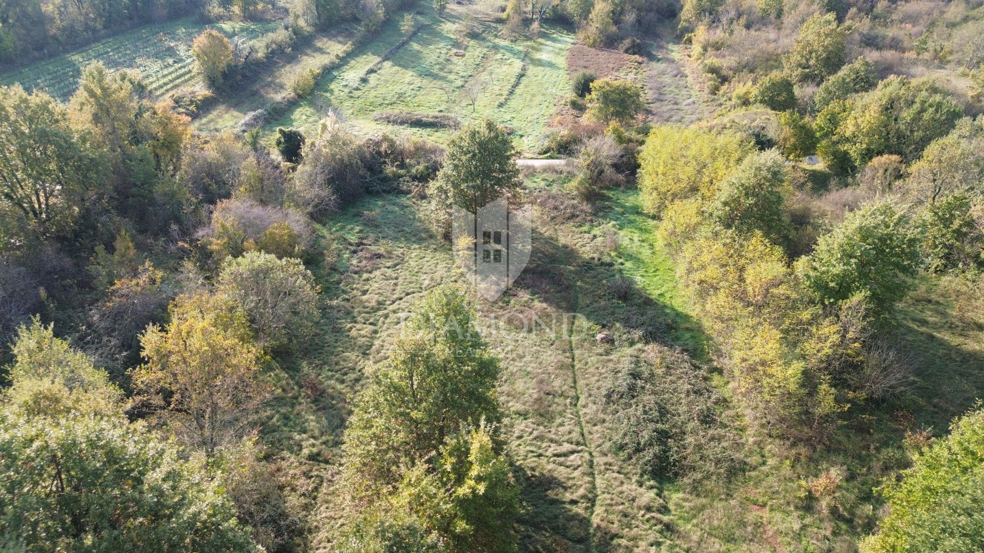 Terre dans Labin, Istarska Zupanija 12813224