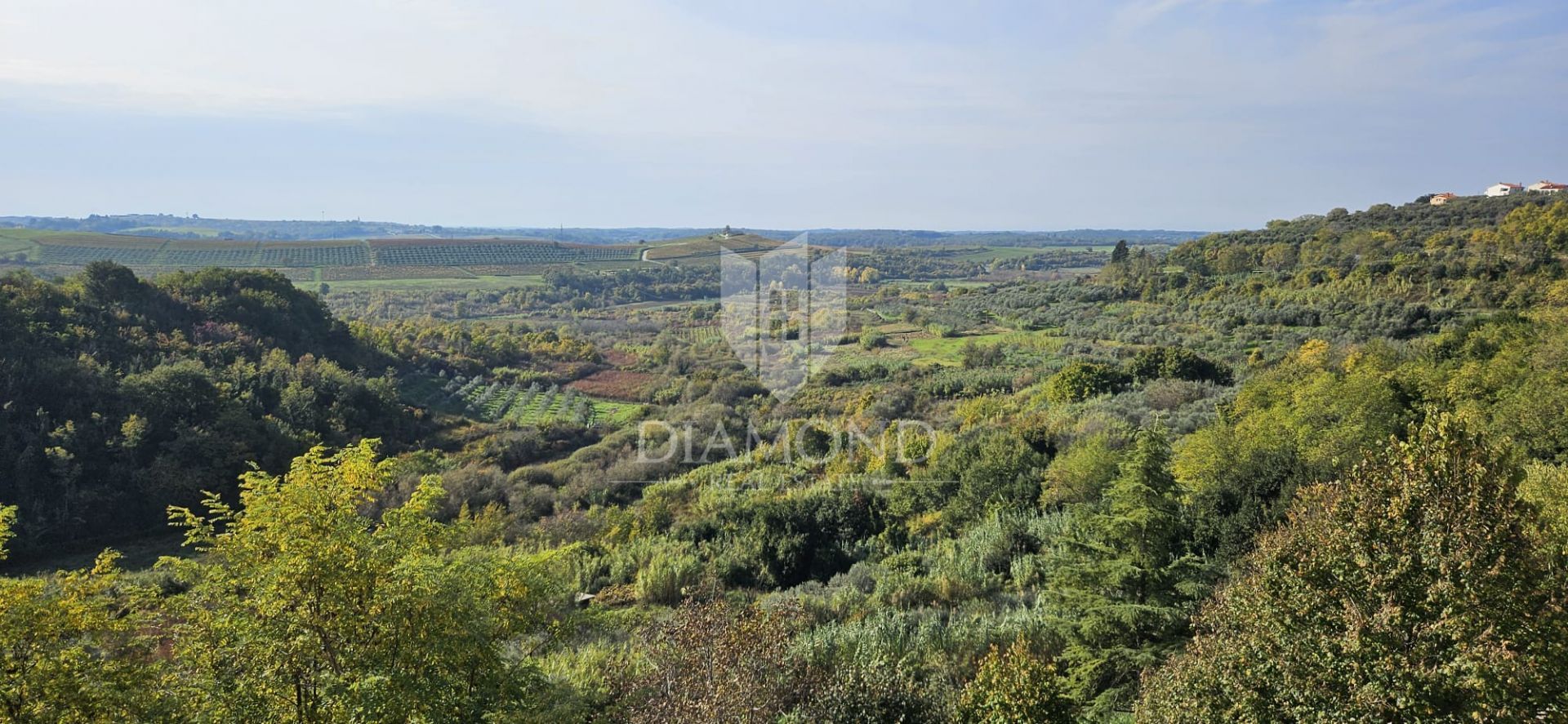 Condominium dans Buje, Istria County 12813261