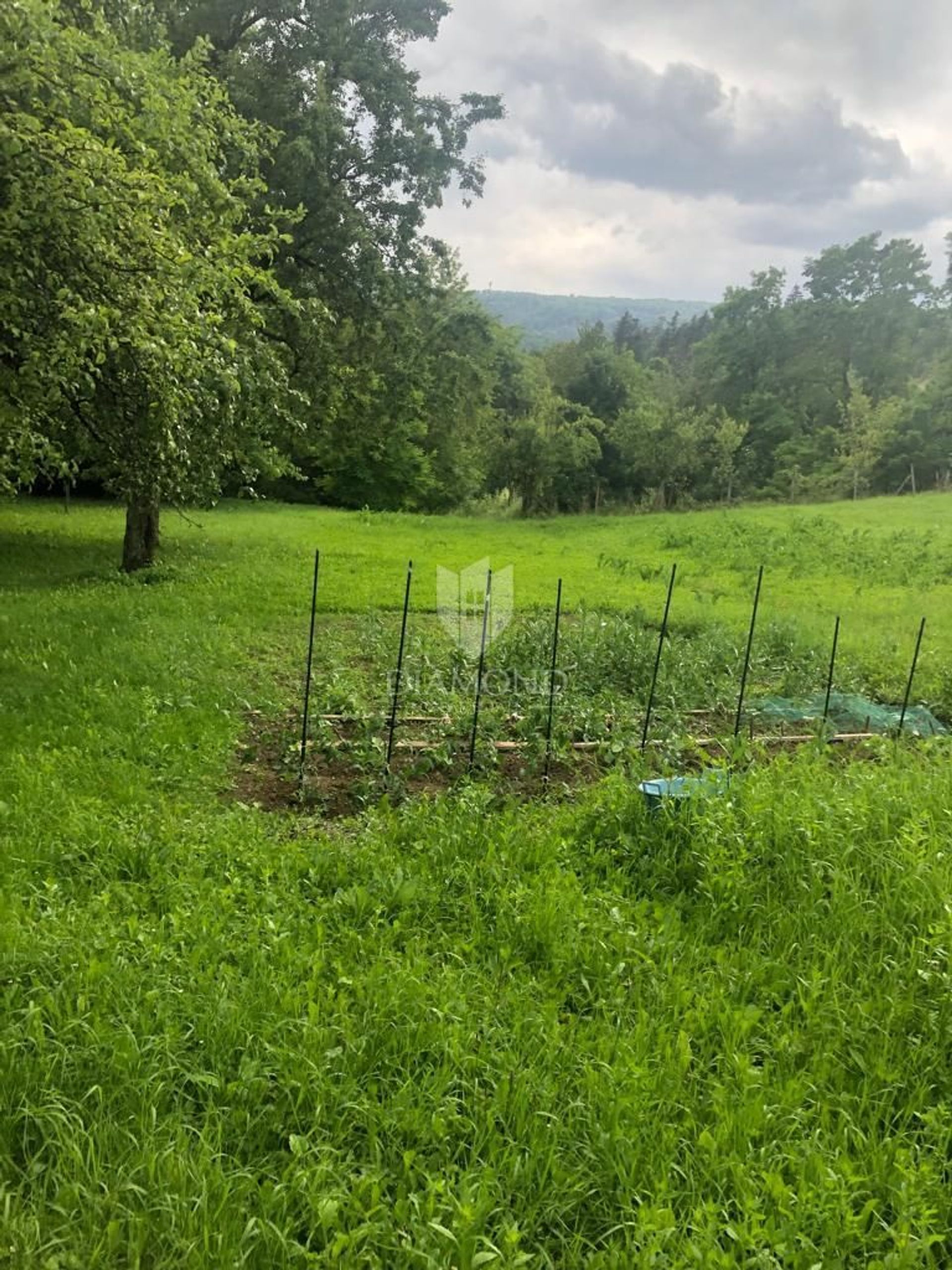 Huis in Lukovdol, Primorje-Gorski Kotar County 12813291