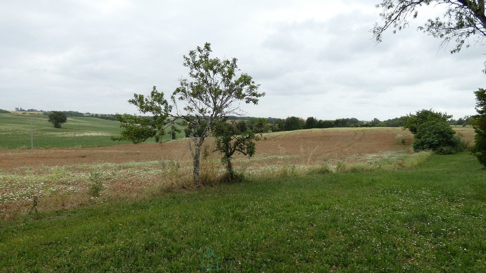 loger dans Cordes-sur-Ciel, Occitanie 12813702