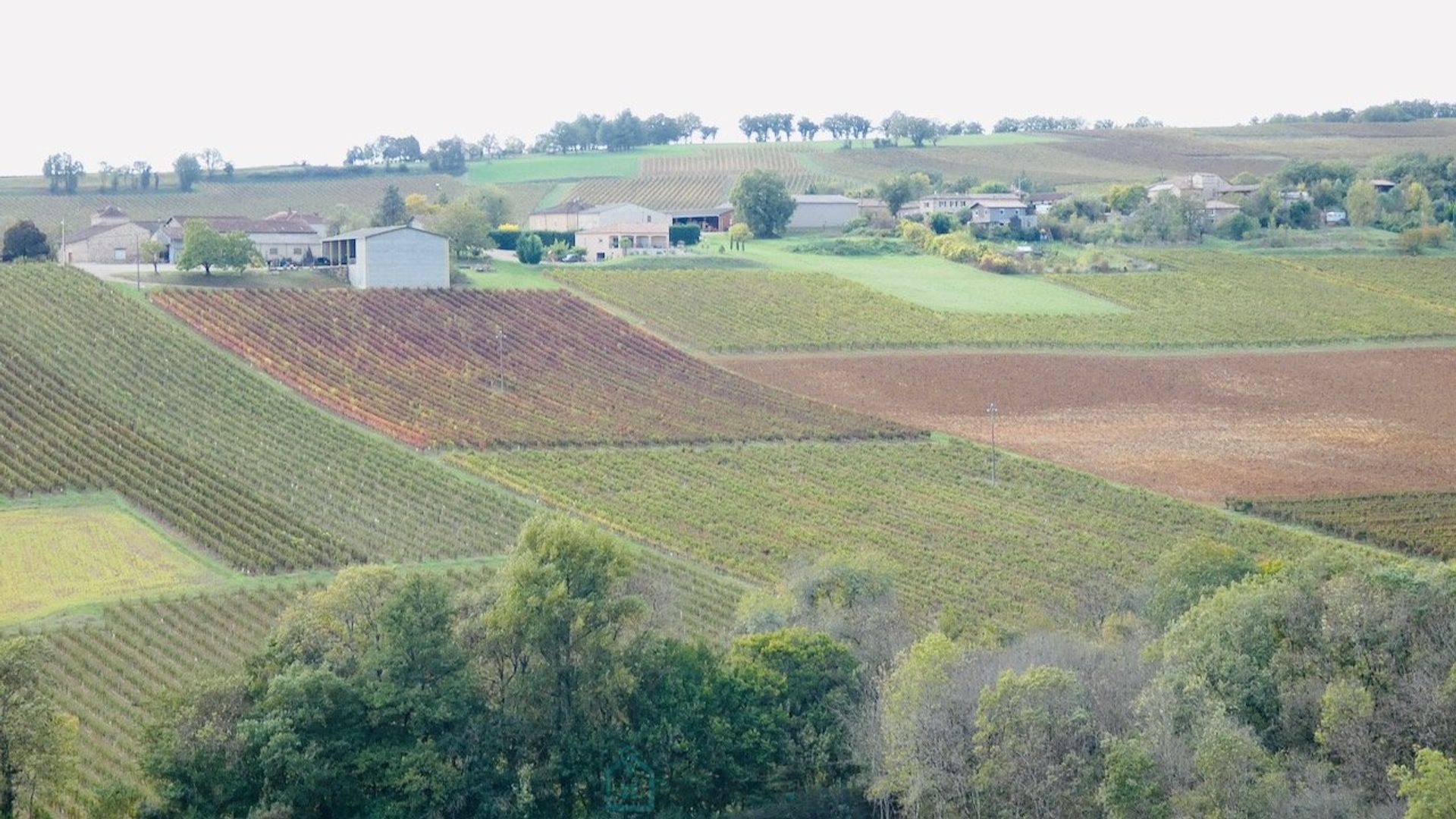 Αλλα σε Cordes-sur-Ciel, Occitanie 12813706