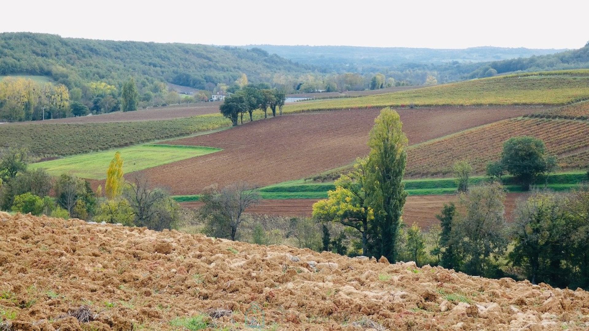 Αλλα σε Cordes-sur-Ciel, Occitanie 12813706