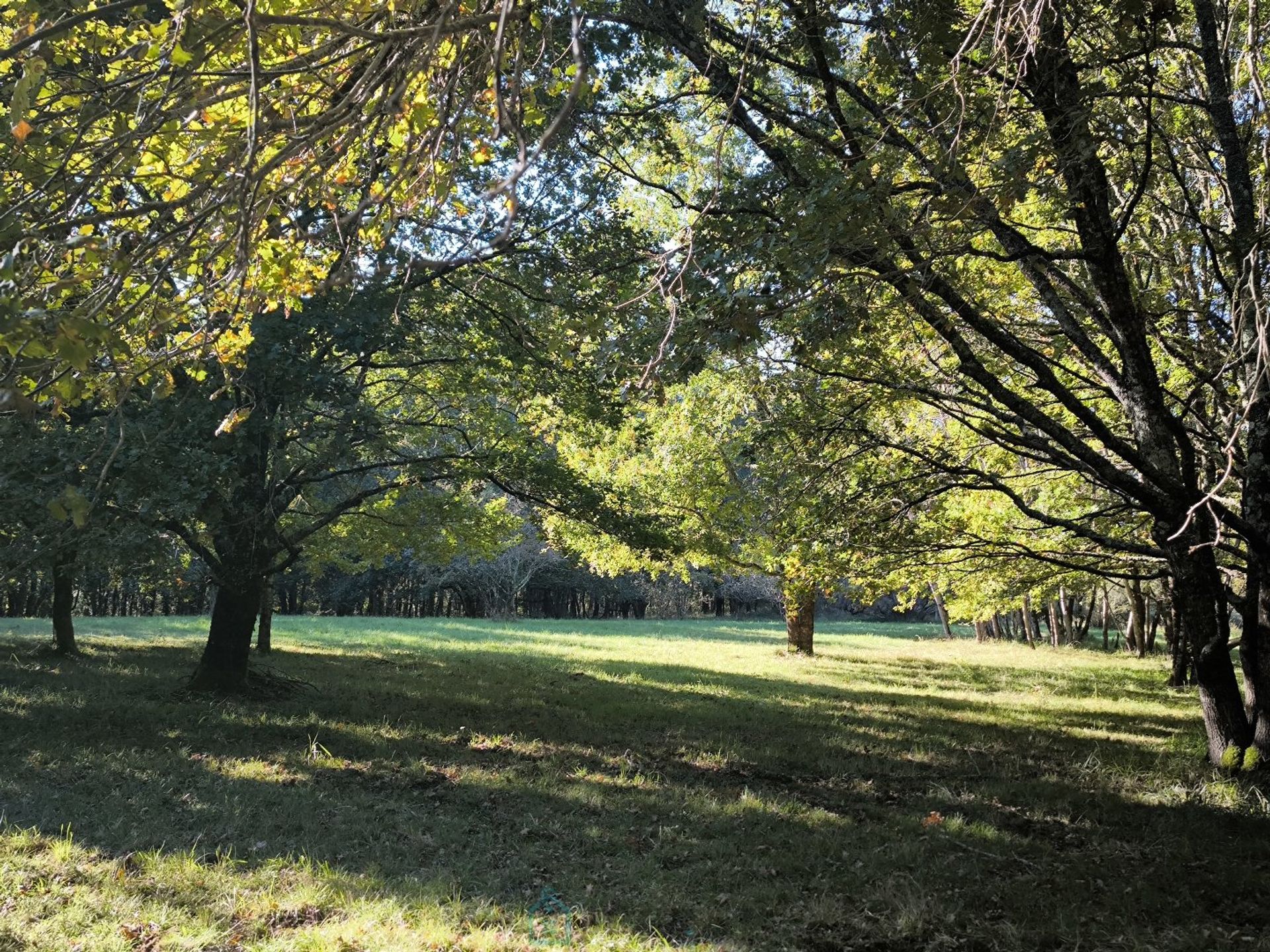 Lain di Bergerac, Nouvelle-Aquitaine 12813733