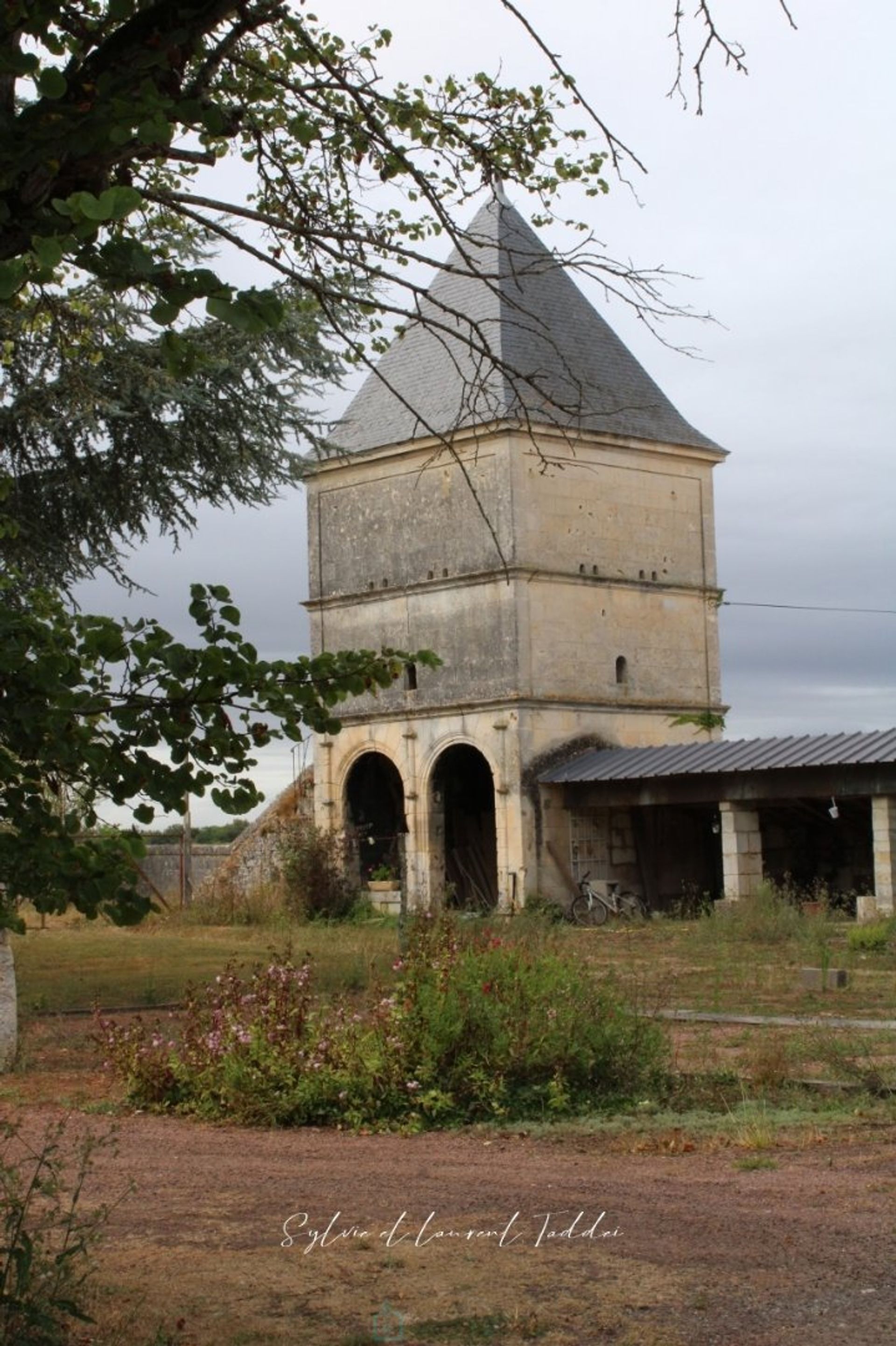 Andere in Jonzac, Nouvelle-Aquitaine 12813779