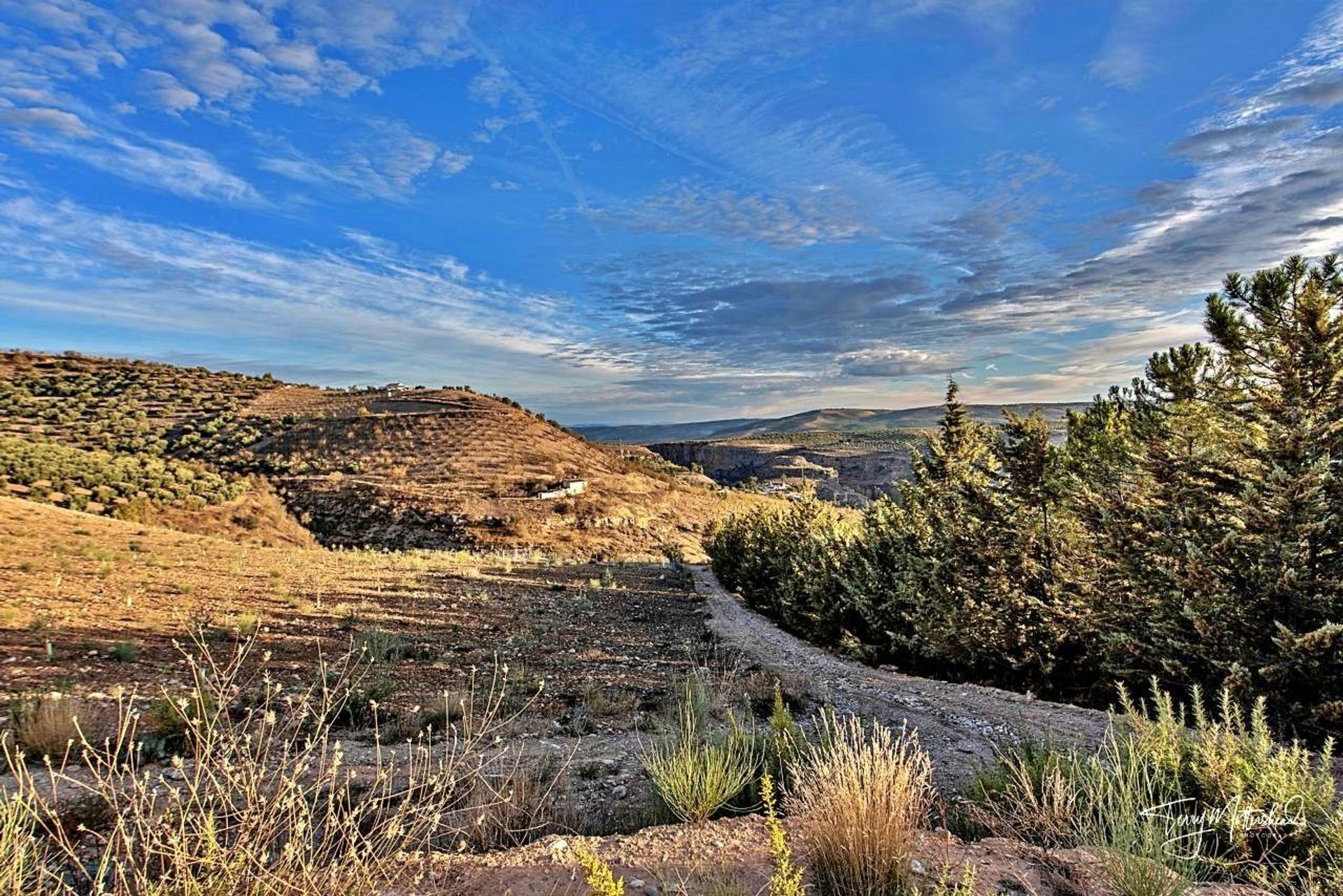 ארץ ב , Andalusia 12815147