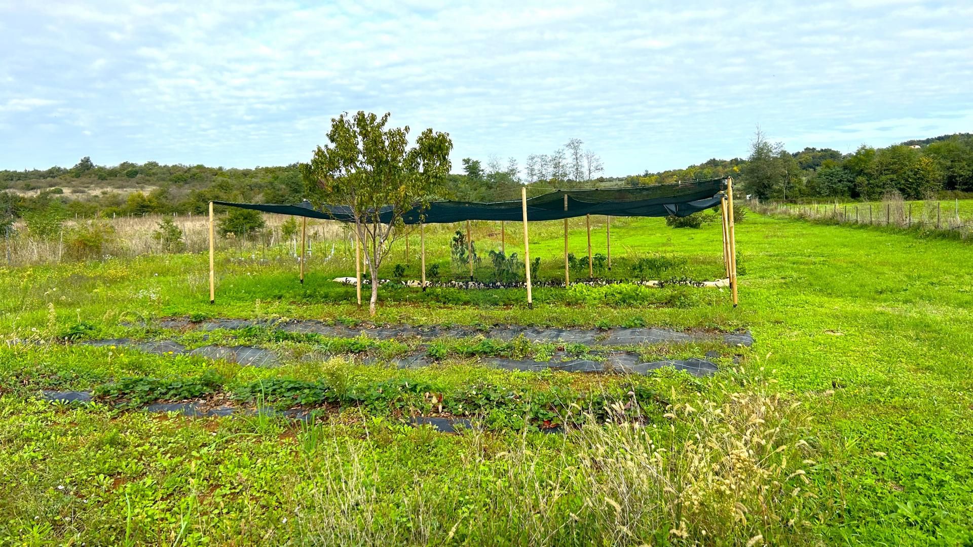 Land i Cepljani, Istarska Zupanija 12816176