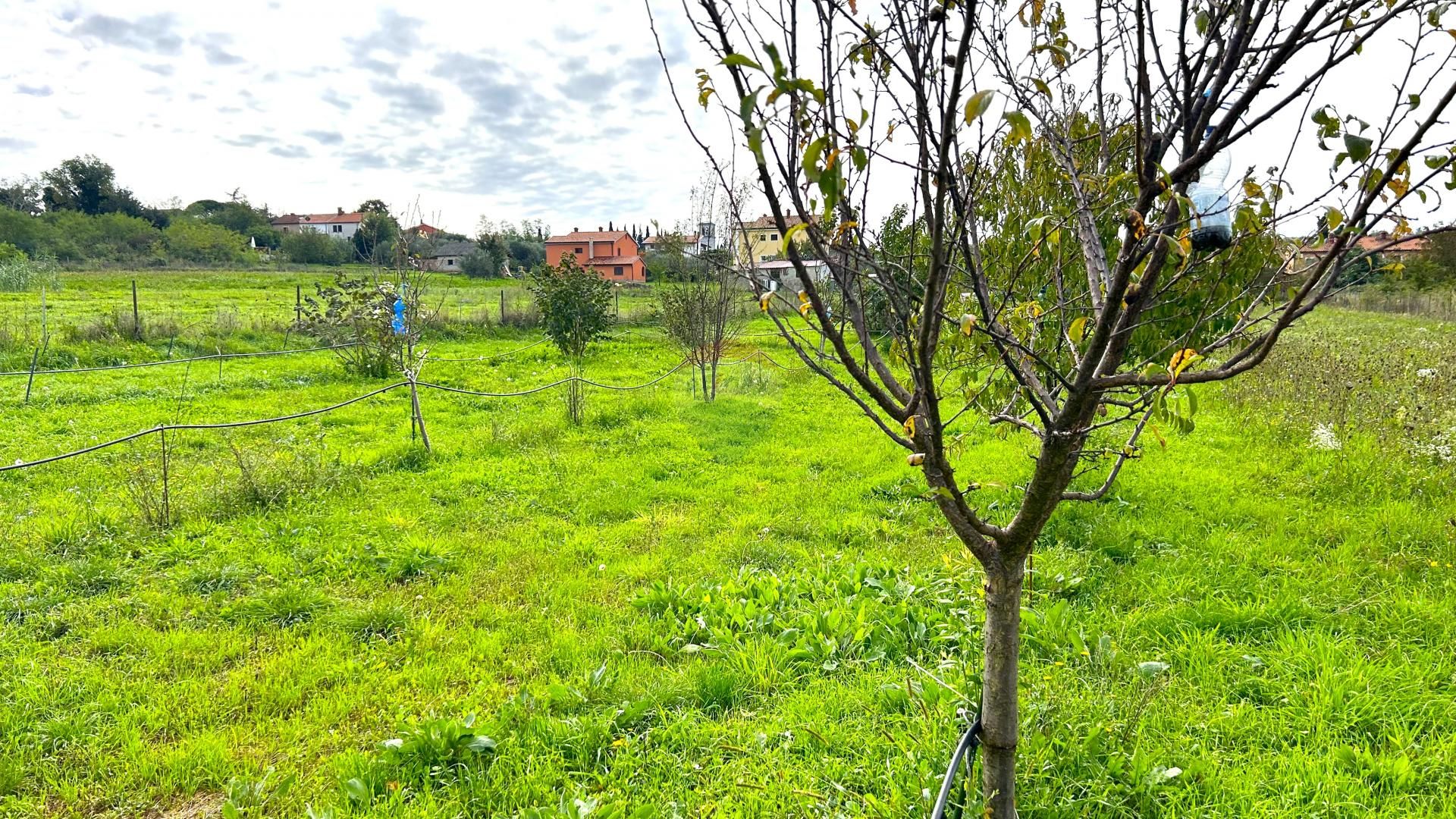 Land i Materada, Istarska županija 12816176