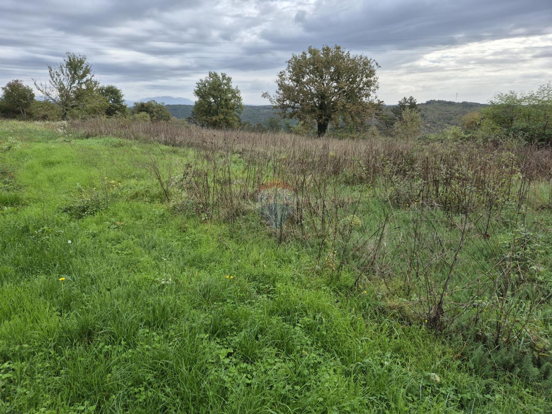 Sbarcare nel Tinjan, Istarska Zupanija 12816196