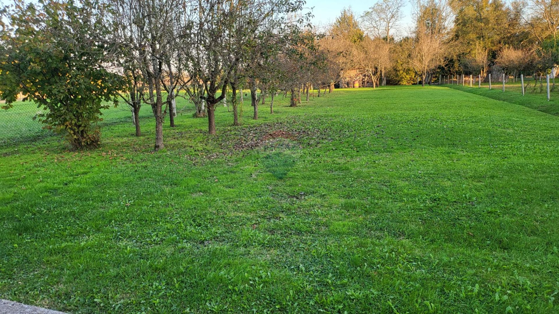 بيت في Poljana Čička, Zagrebačka županija 12816211