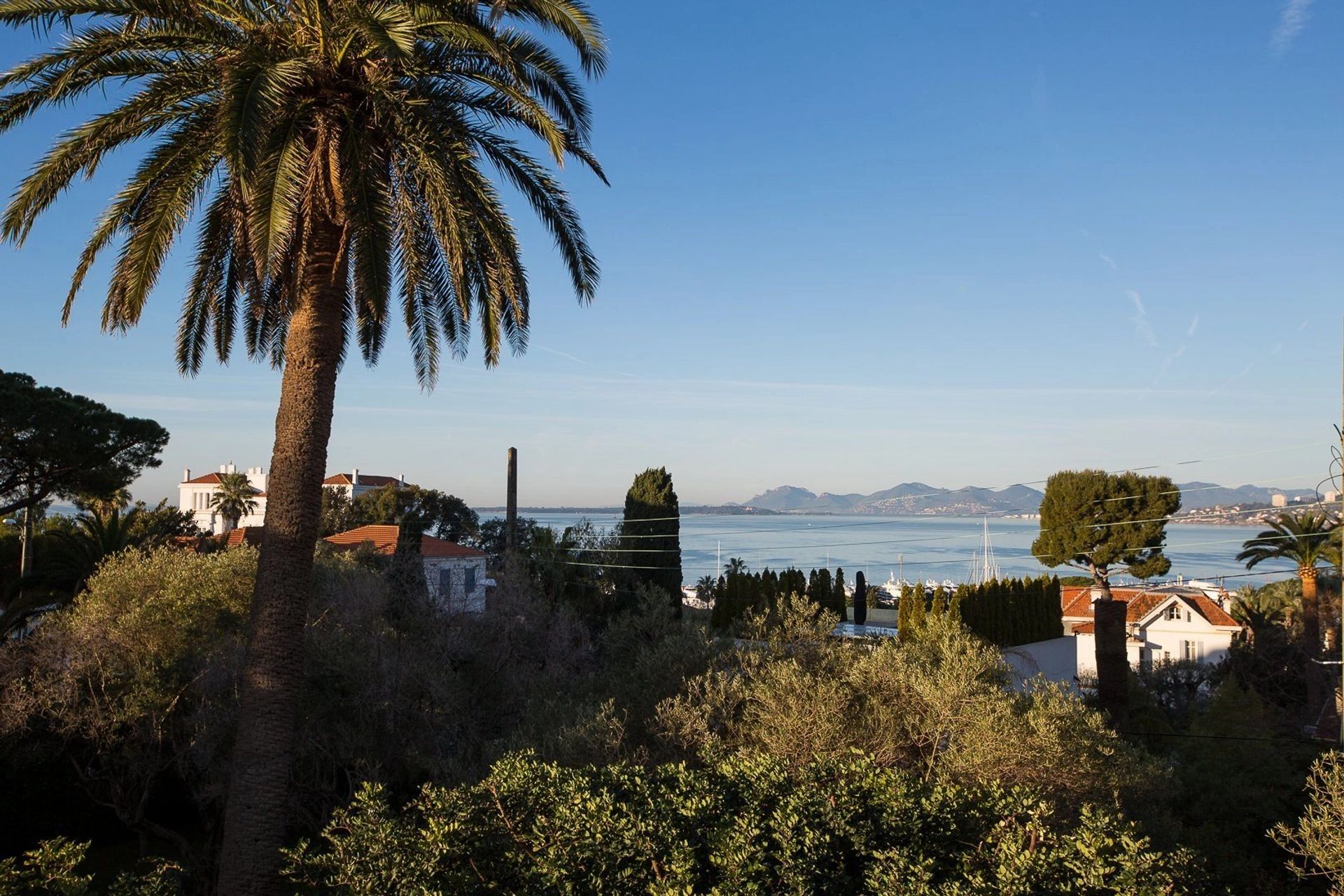 loger dans Antibes, Provence-Alpes-Côte d'Azur 12816342