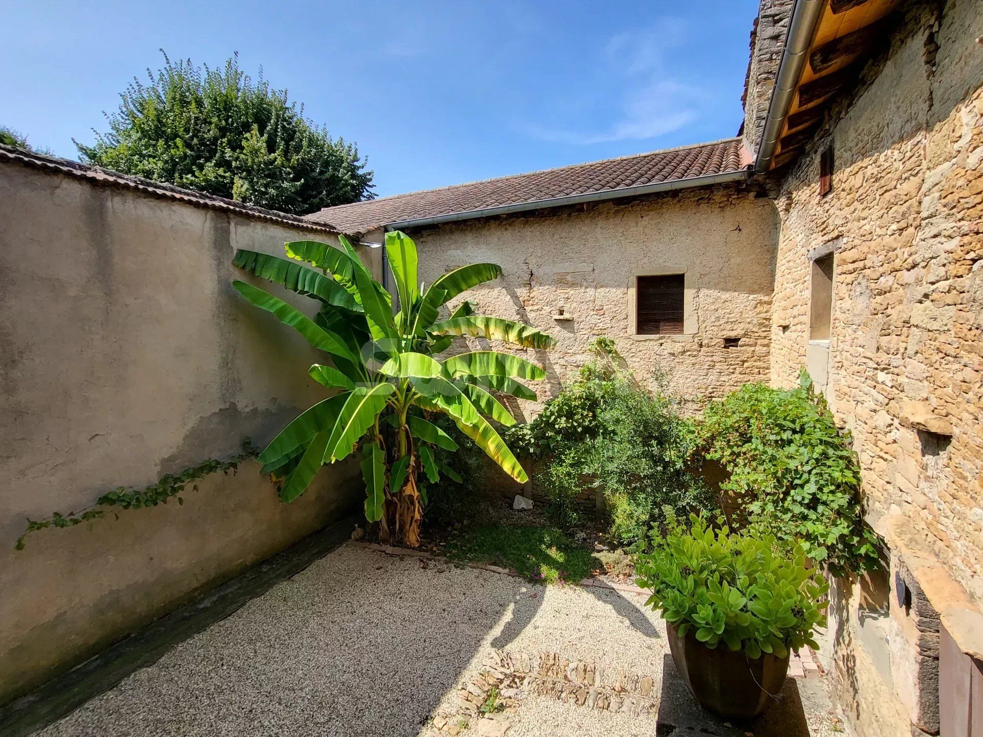 بيت في La Roche-Vineuse, Saône-et-Loire 12816652