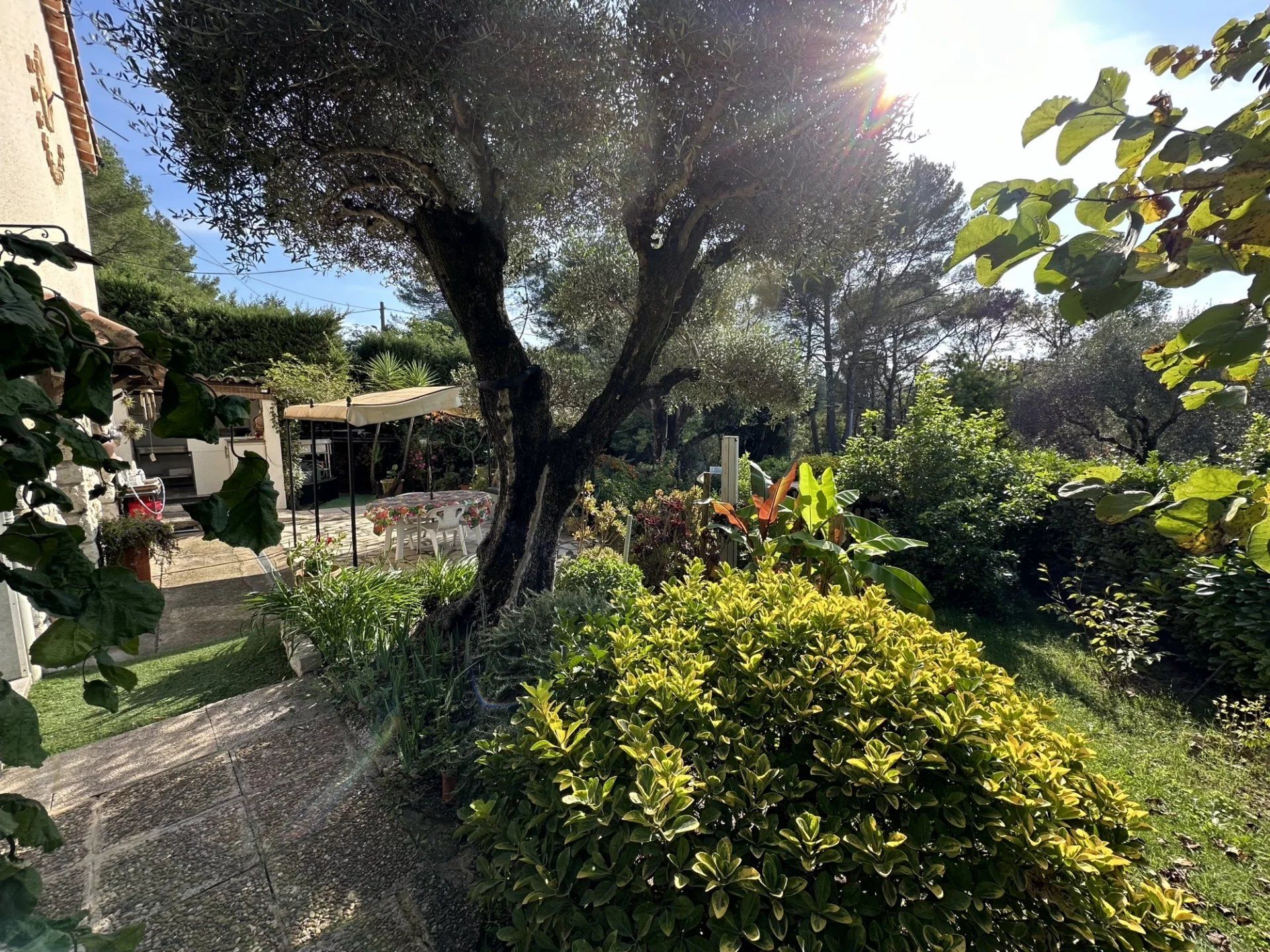 Casa nel Roquefort-les-Pins, Alpes-Maritimes 12816848