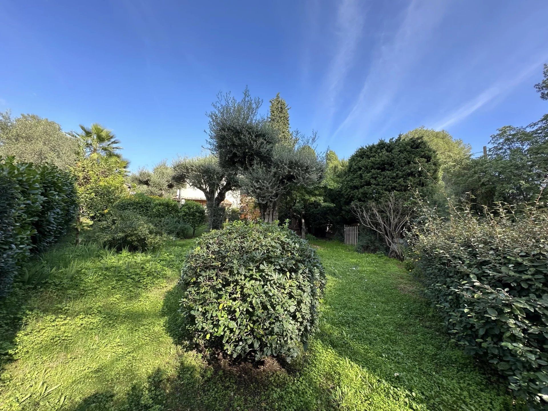 Casa nel Roquefort-les-Pins, Alpes-Maritimes 12816848