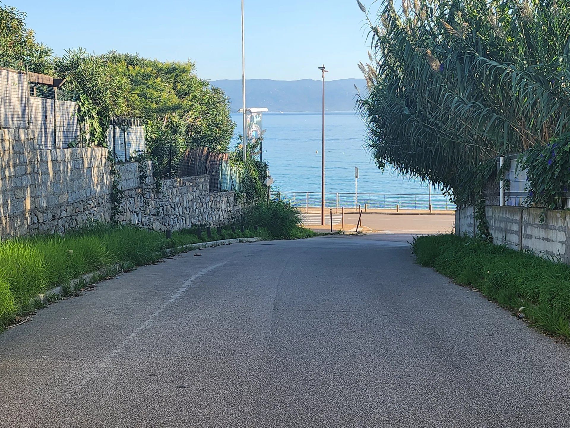 Land in Ajaccio, Corse-du-Sud 12816864