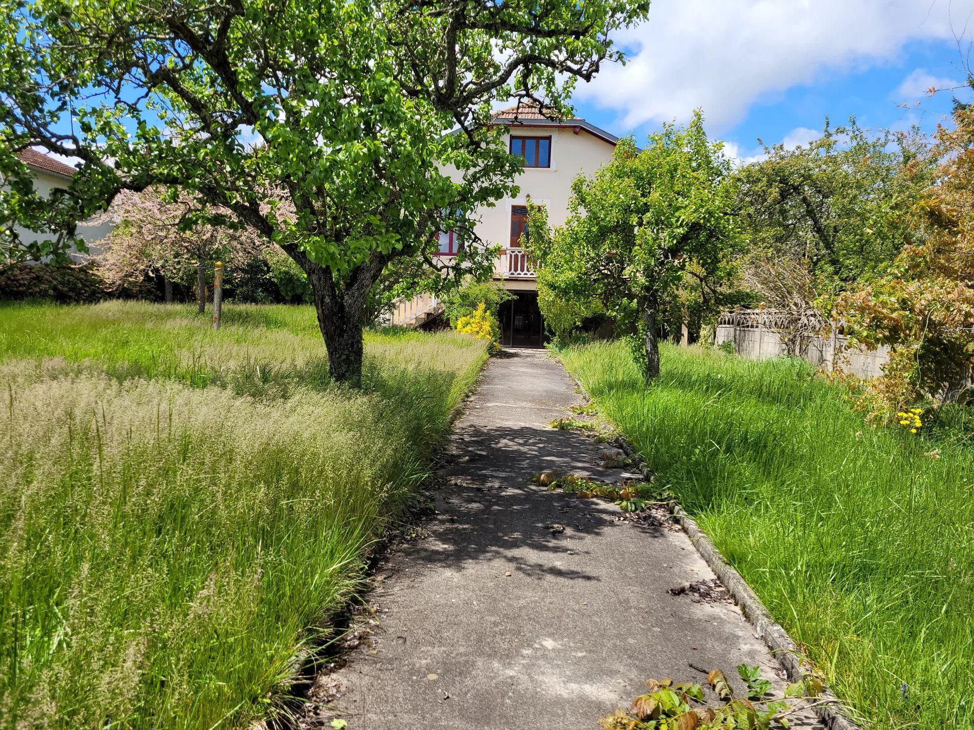 Hus i Lavelanet, Ariège 12817034