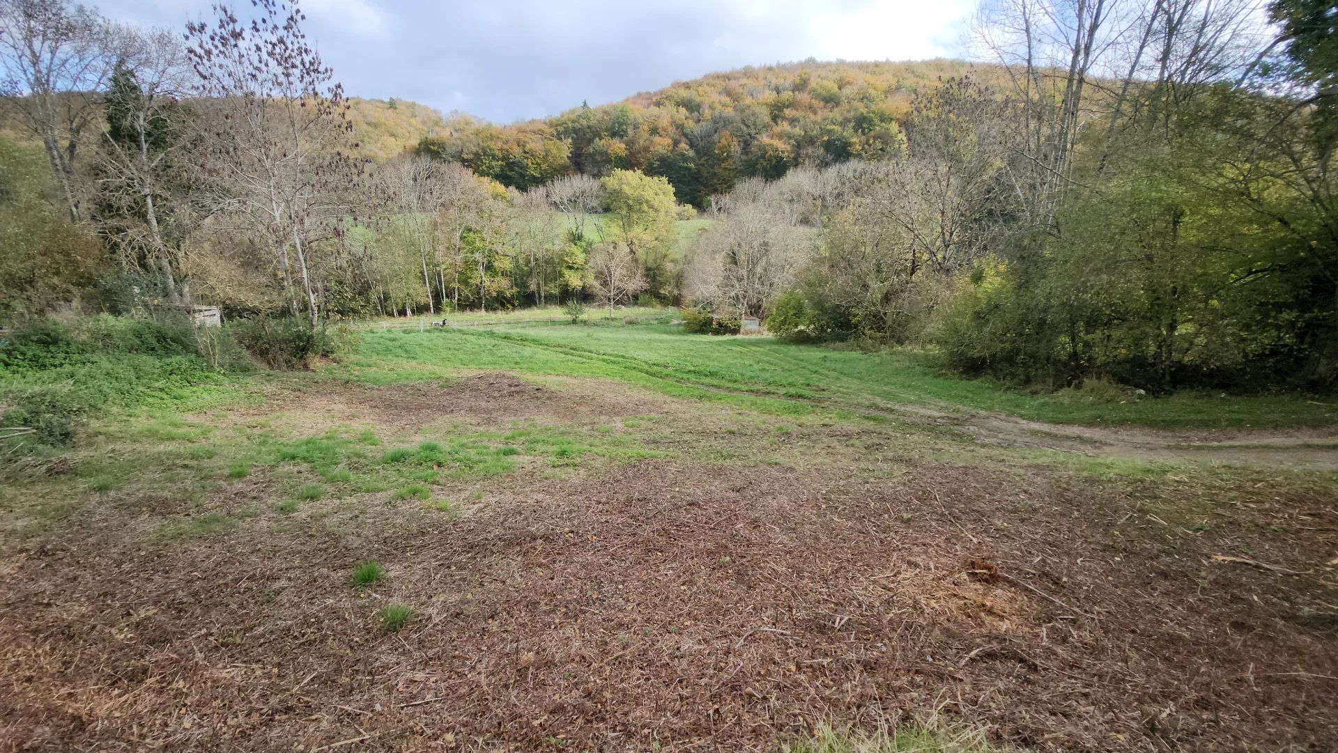 Land i Saint-Benoît, Occitanie 12817039