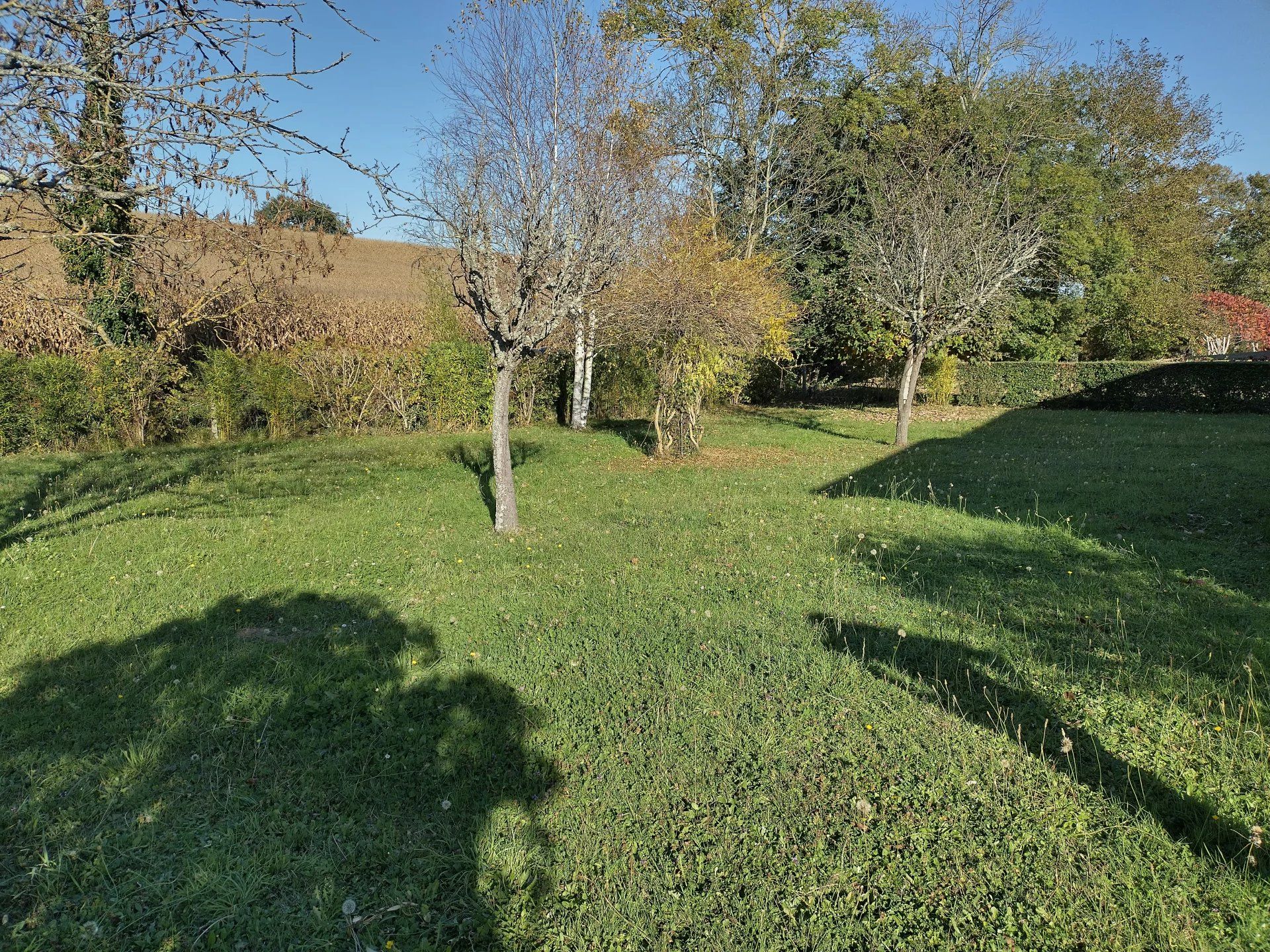 rumah dalam Laroque-d'Olmes, Ariège 12817040