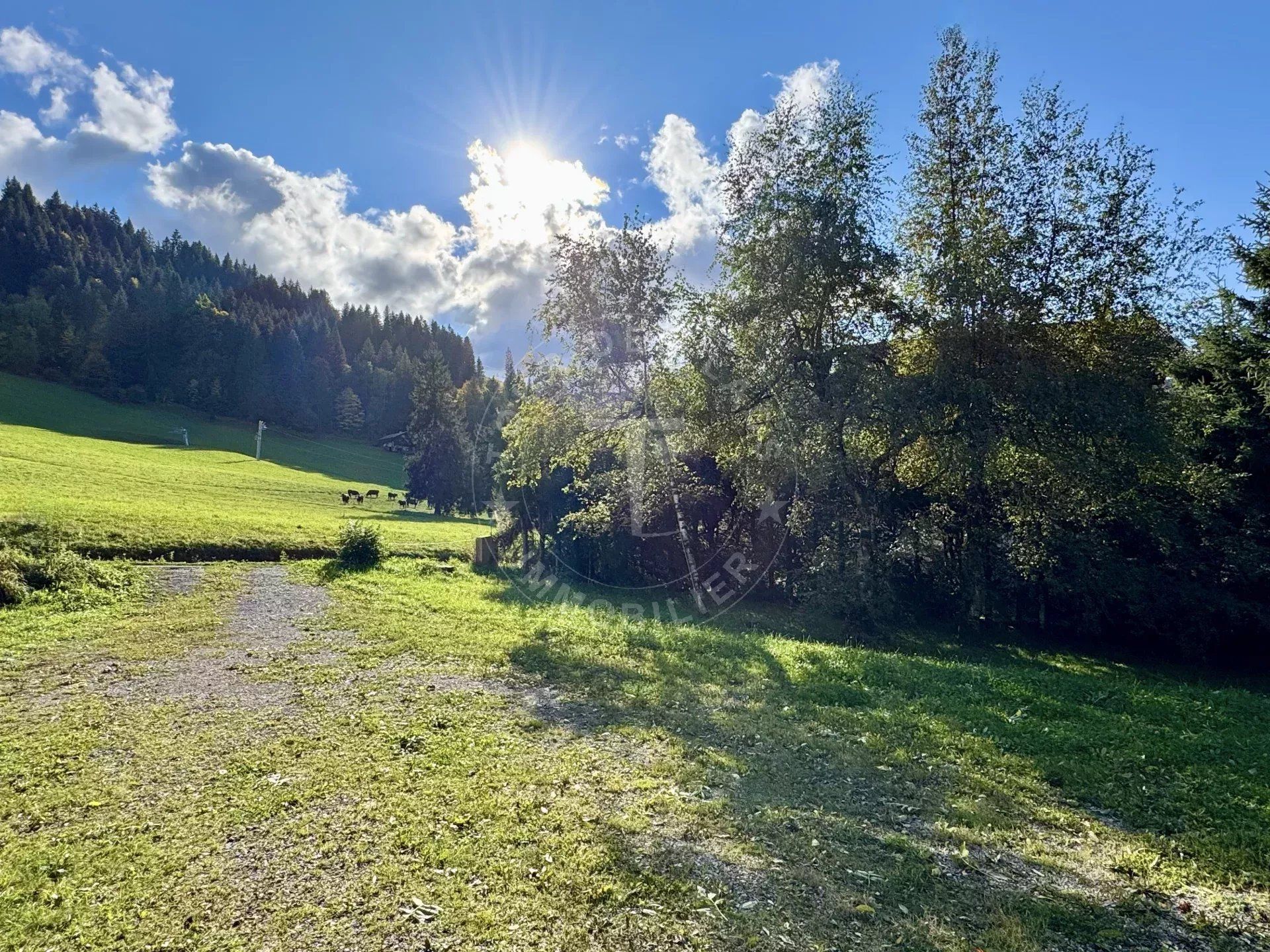 Residencial en La Clusaz, Haute-Savoie 12817067