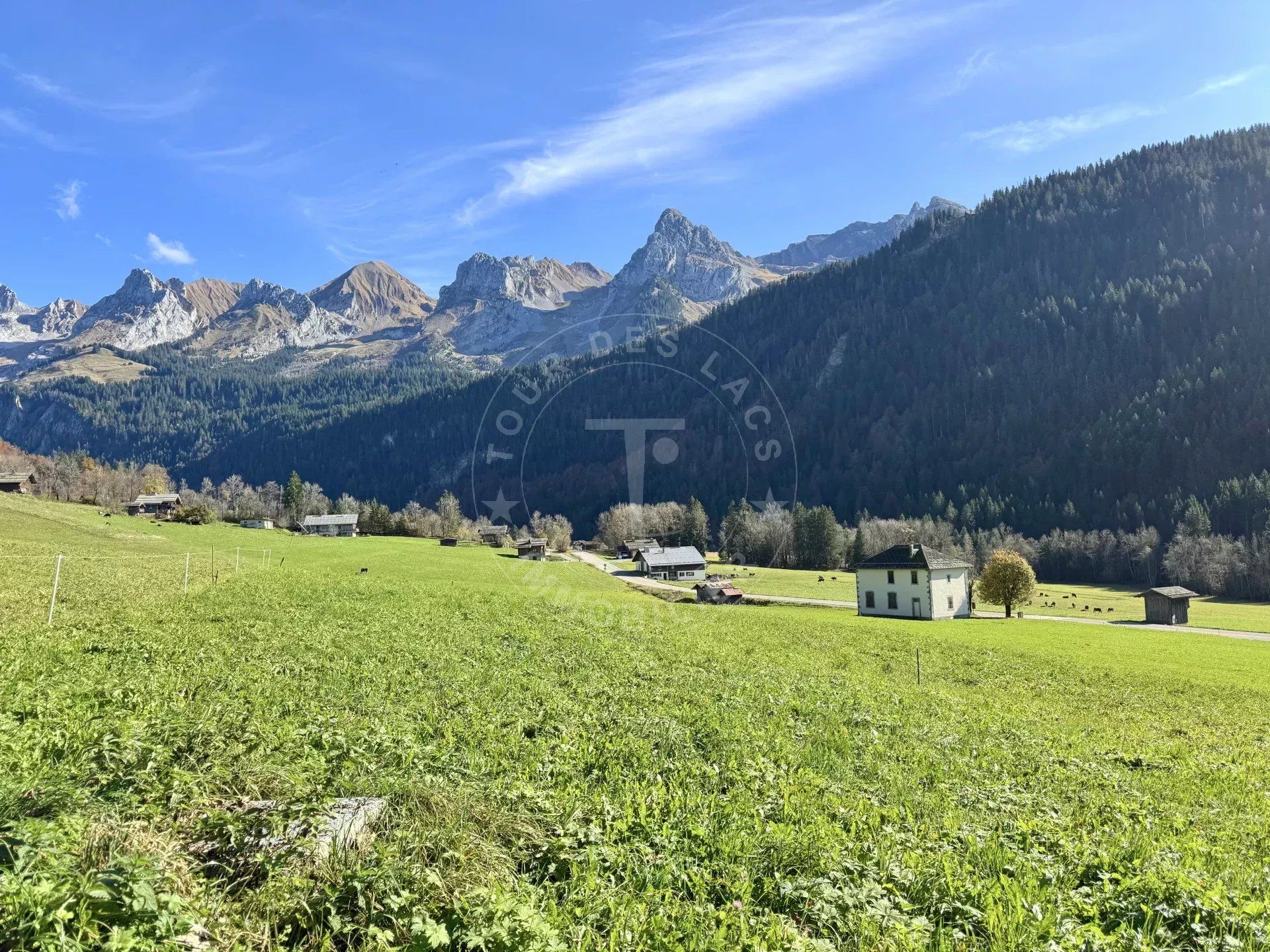 Hus i Le Grand-Bornand, Auvergne-Rhône-Alpes 12817071