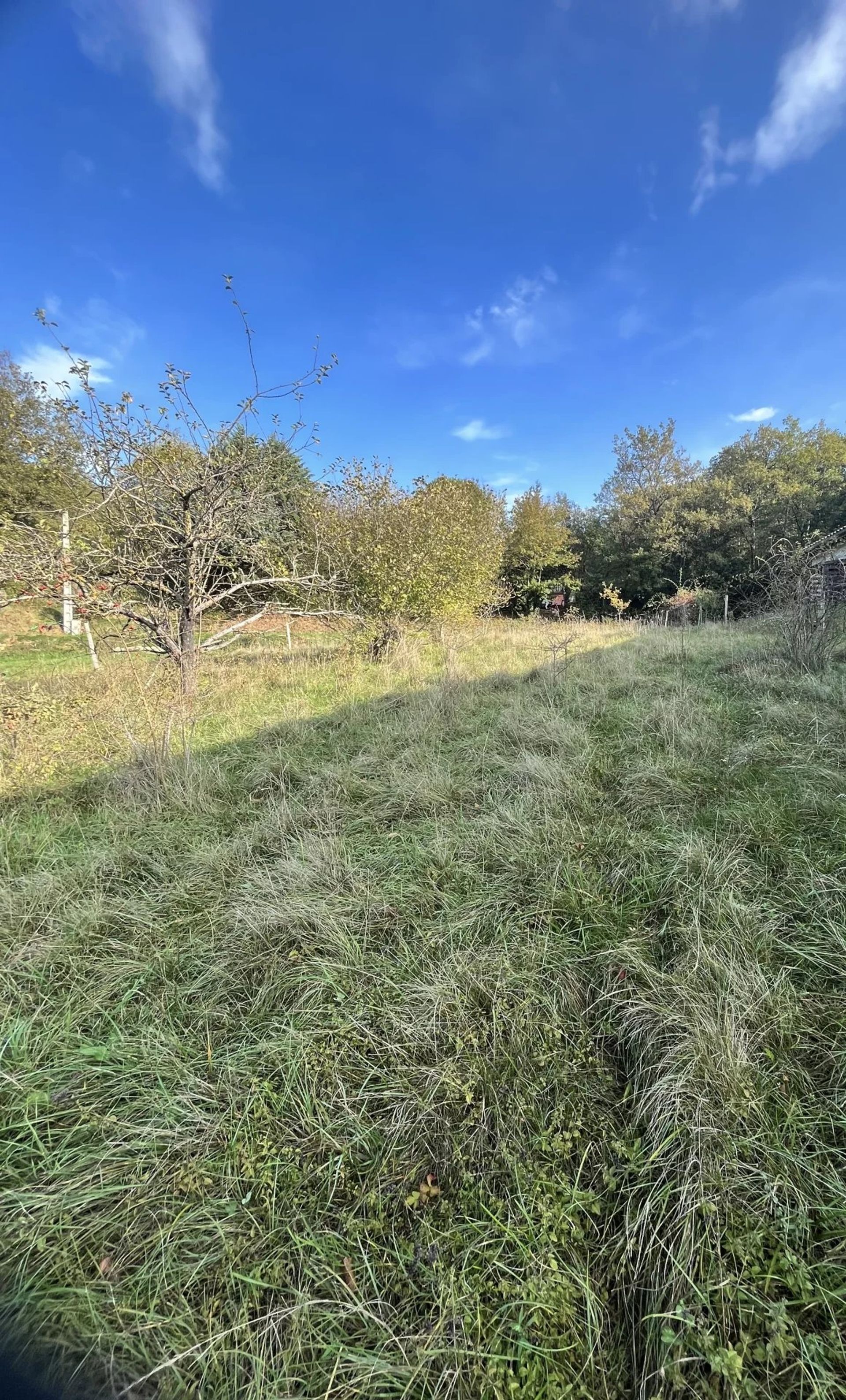 Land in Bugarach, Occitanie 12817220