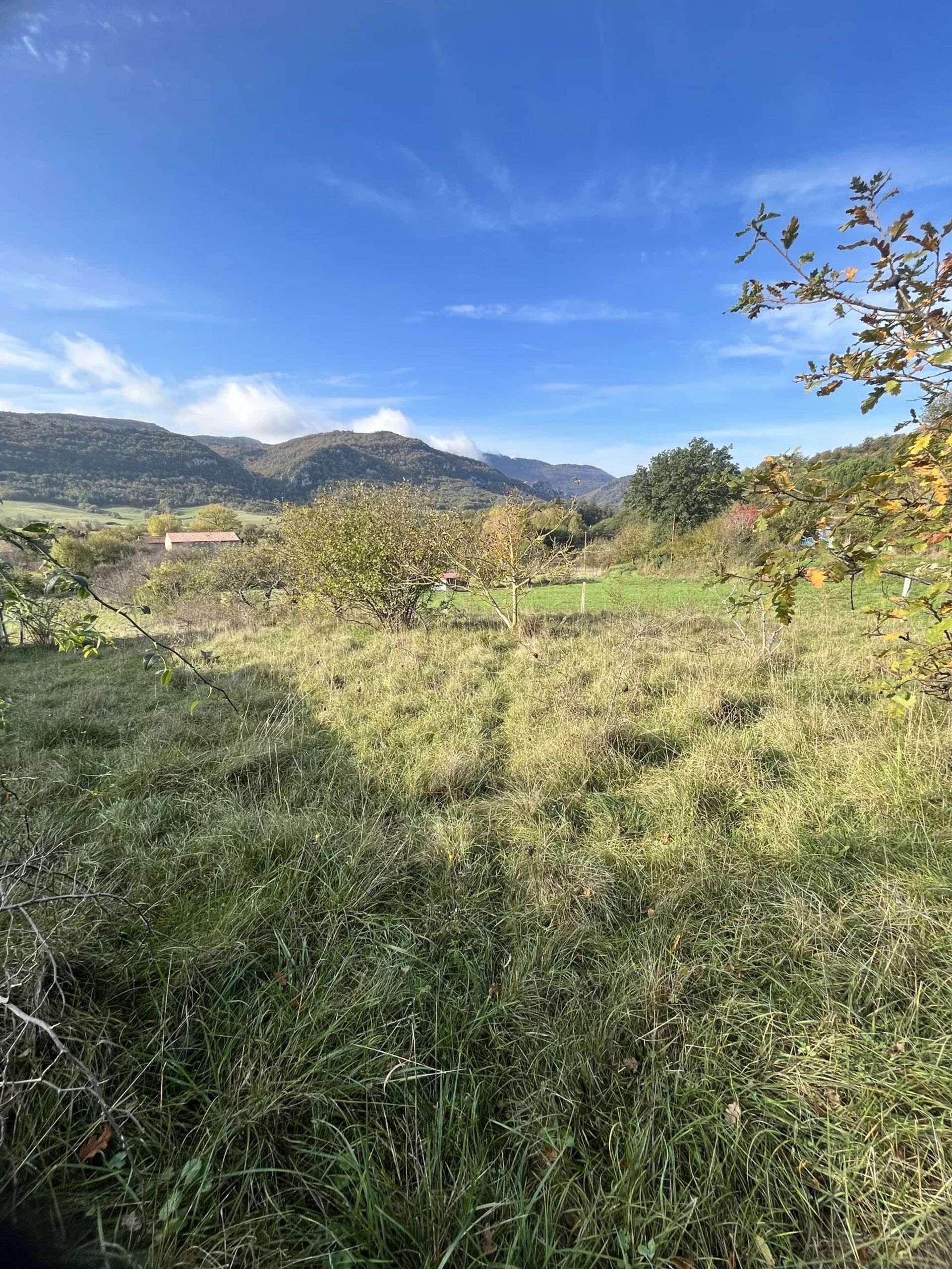 Land in Bugarach, Occitanie 12817220