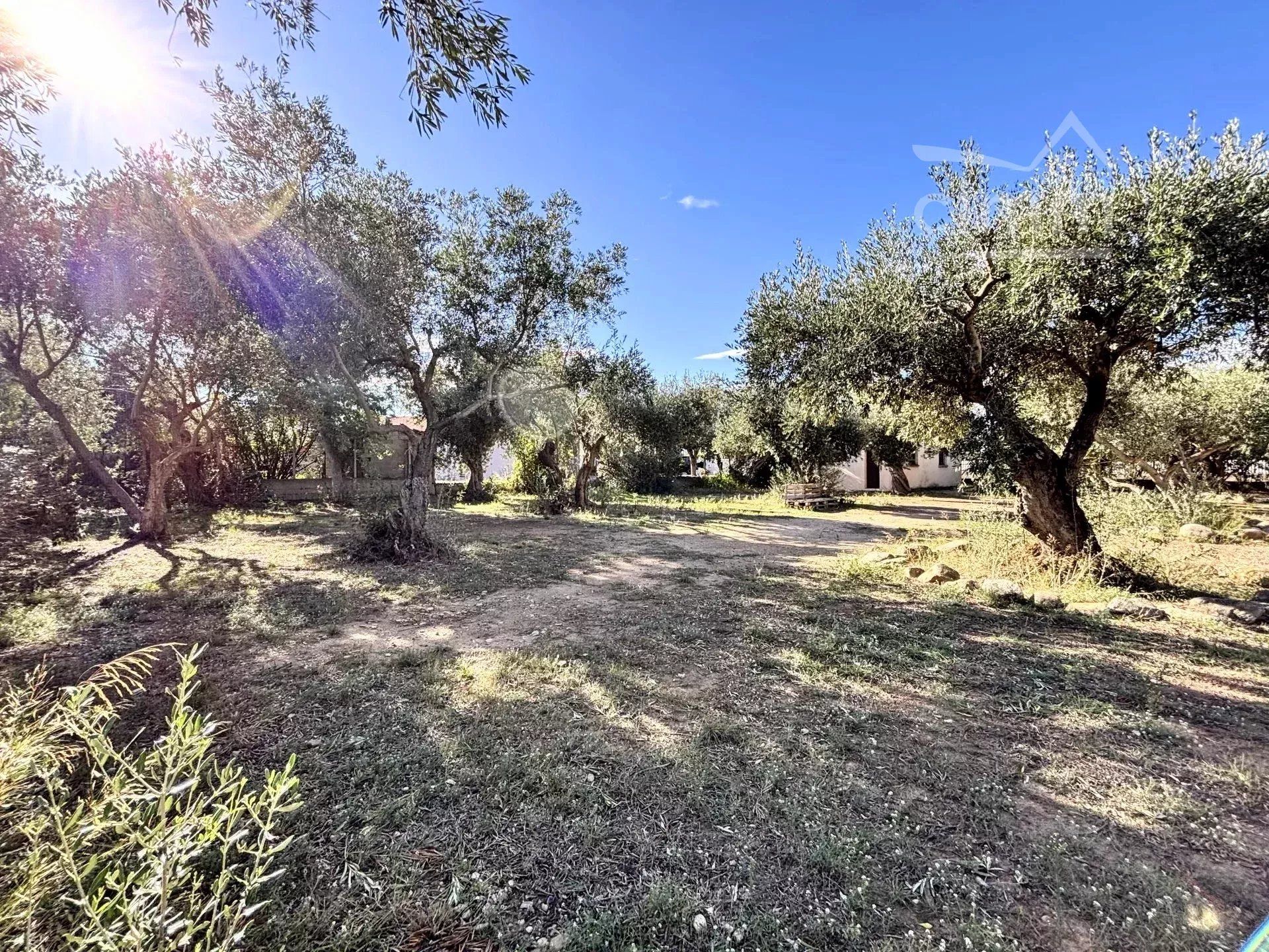 Talo sisään Argelès-sur-Mer, Pyrénées-Orientales 12817237