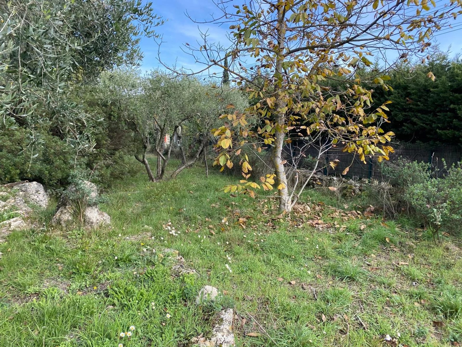 ארץ ב Tourrettes-sur-Loup, Alpes-Maritimes 12817345