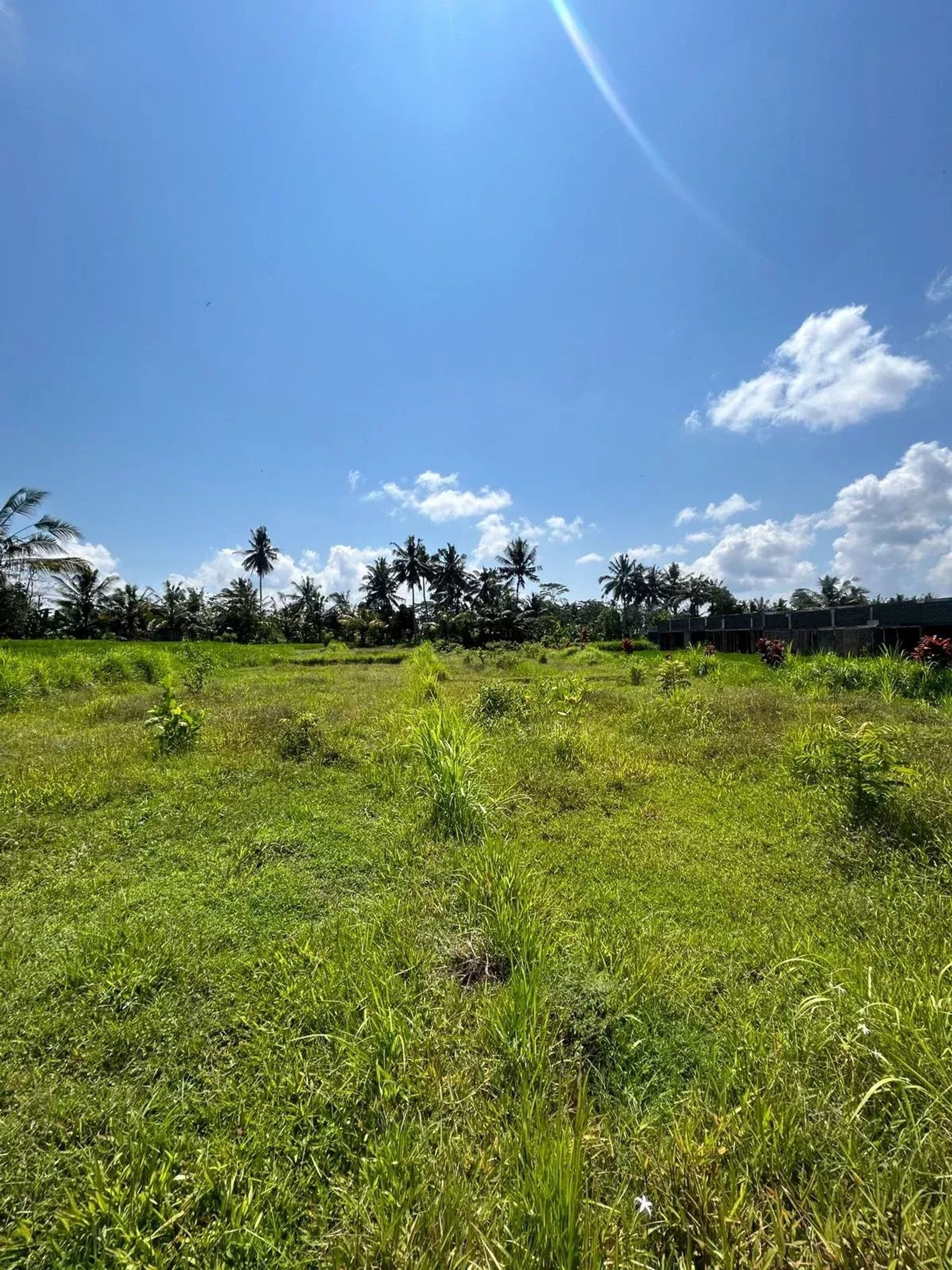 Tanah dalam Ubud, null 12817361