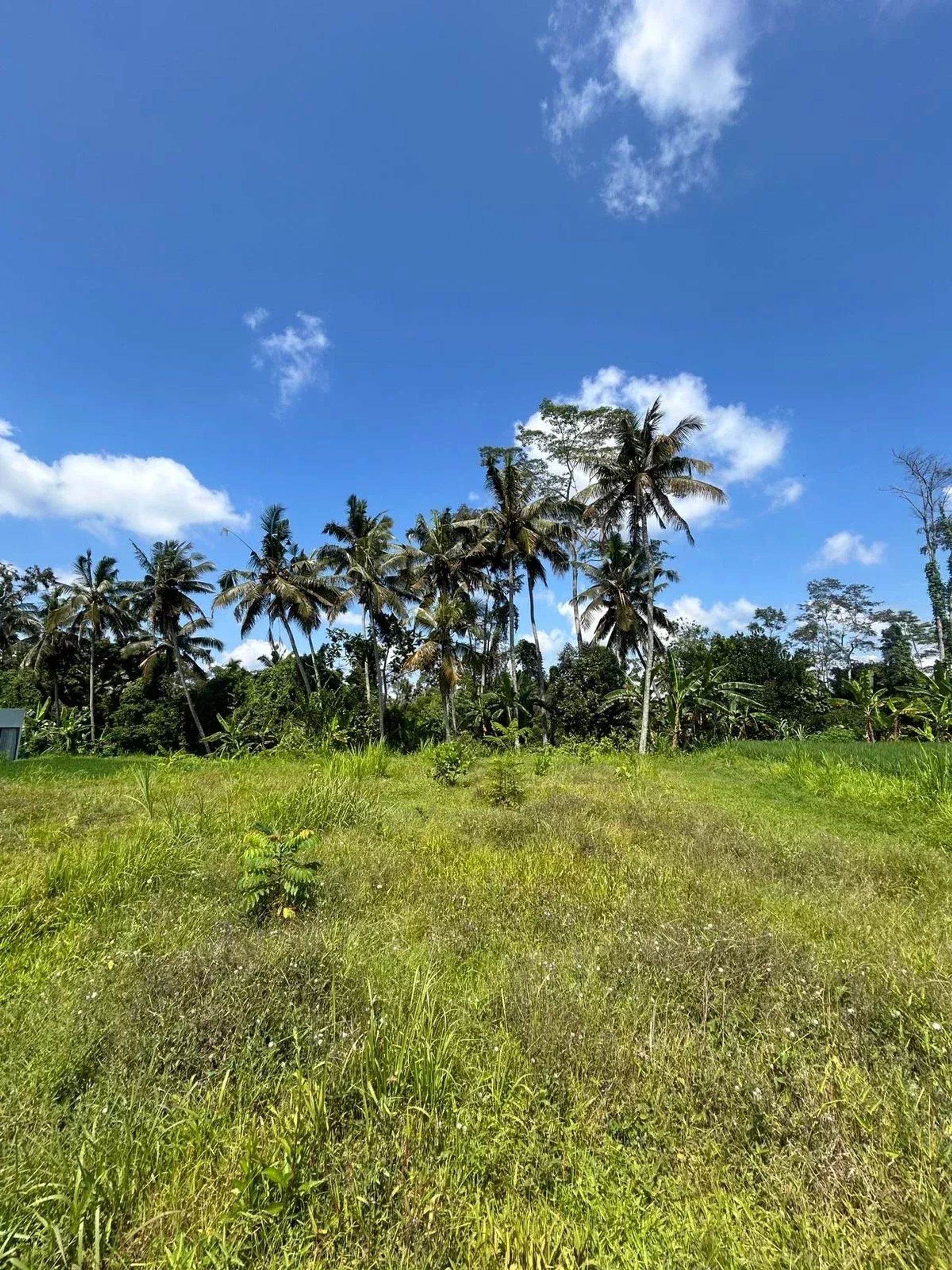 Tanah dalam Ubud, null 12817361