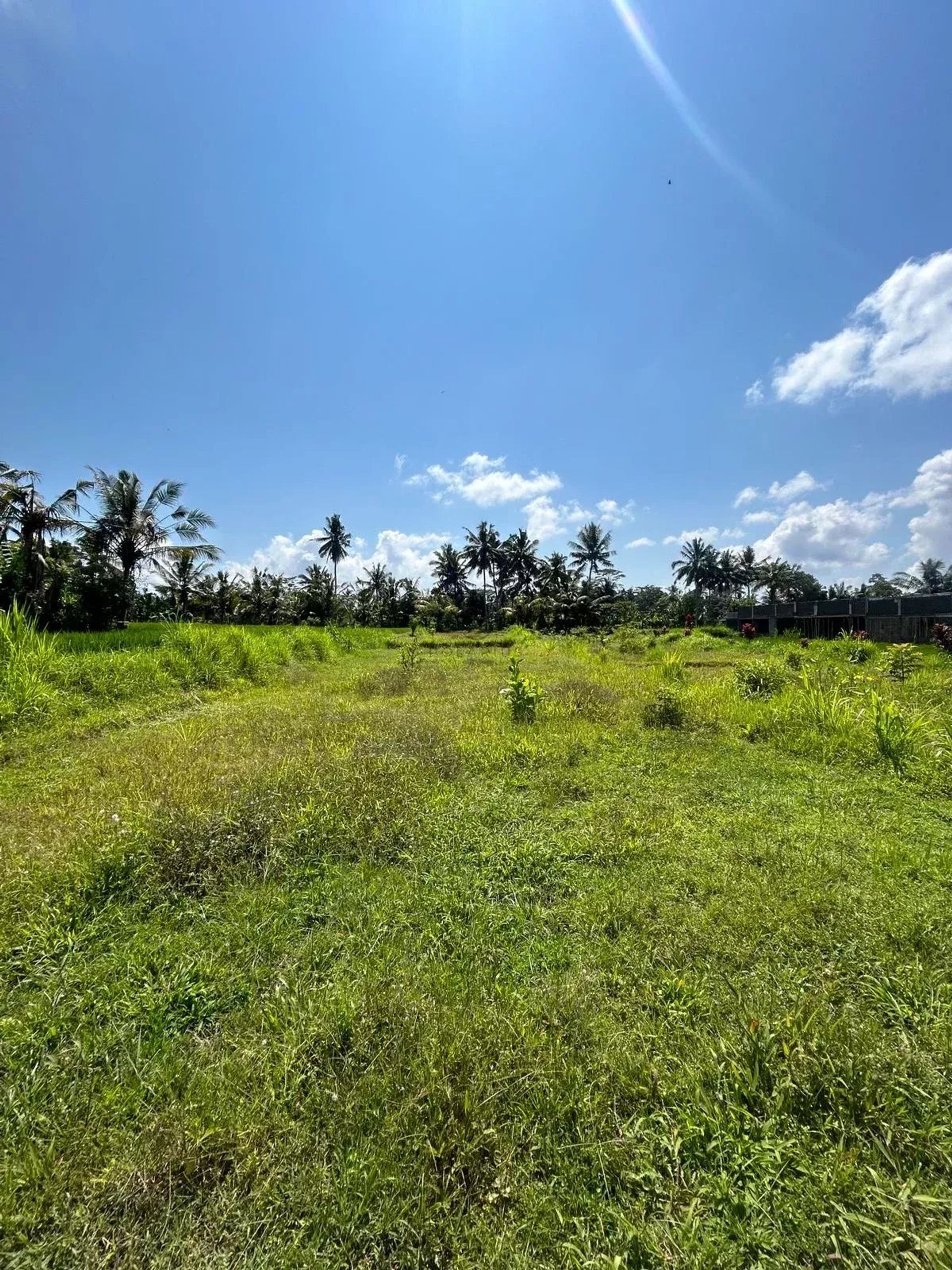 Tanah dalam Ubud, null 12817361