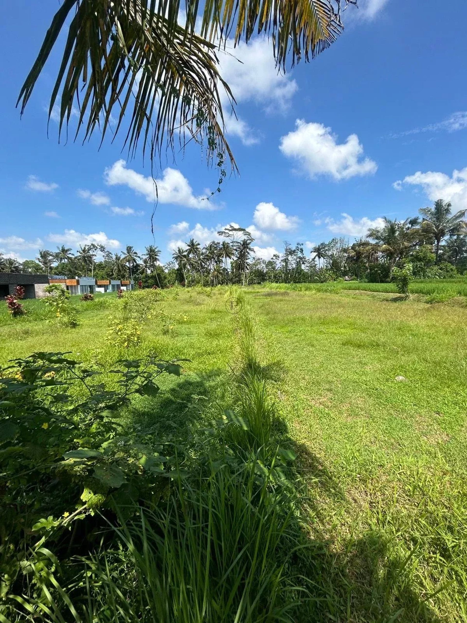 Tanah dalam Ubud, null 12817361