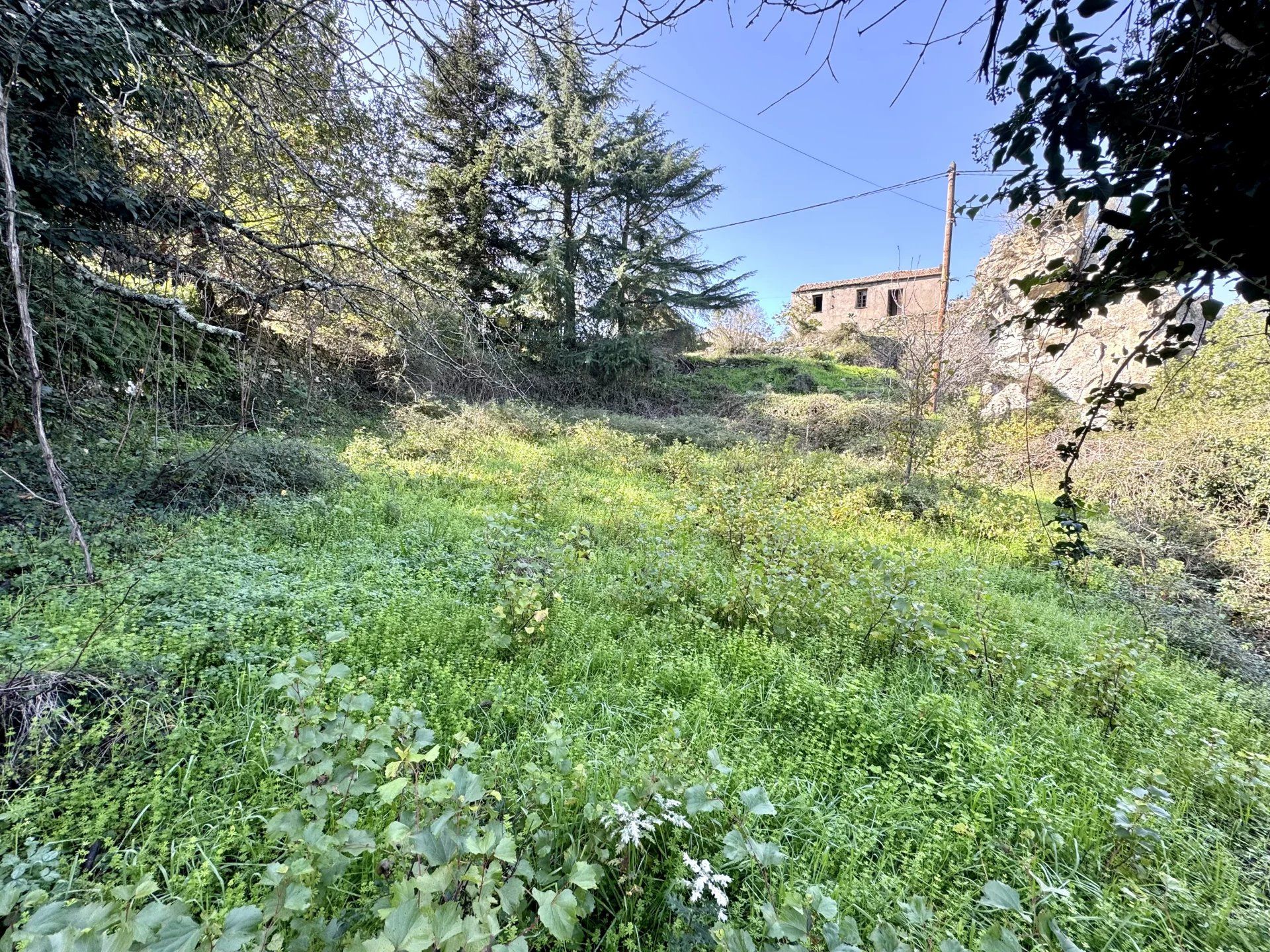 Tanah di Castello-di-Rostino, Haute-Corse 12817411