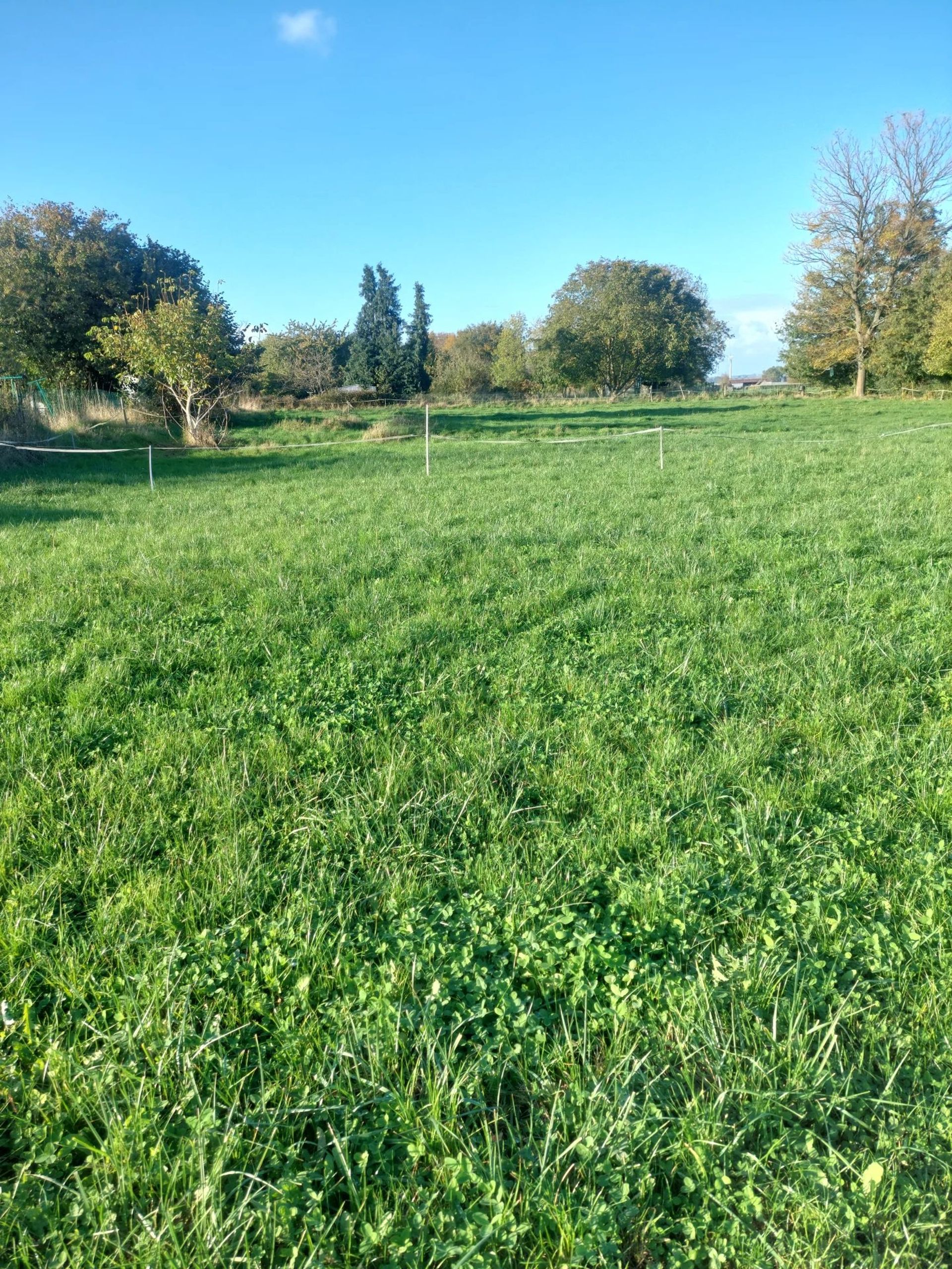 Land in Beaumont-en-Beine, Hauts-de-France 12817698