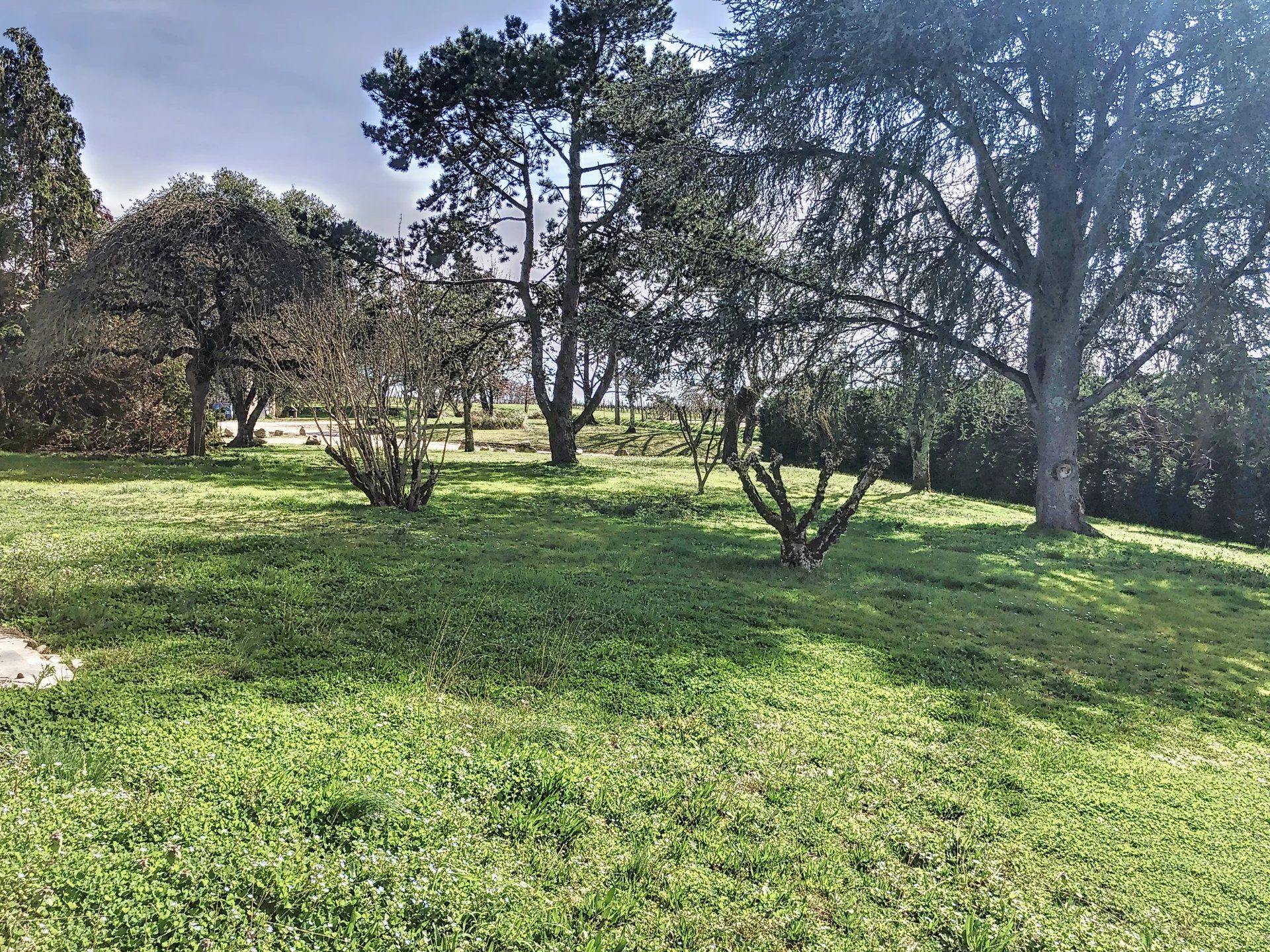 Rumah di Saint-André-et-Appelles, Gironde 12817755