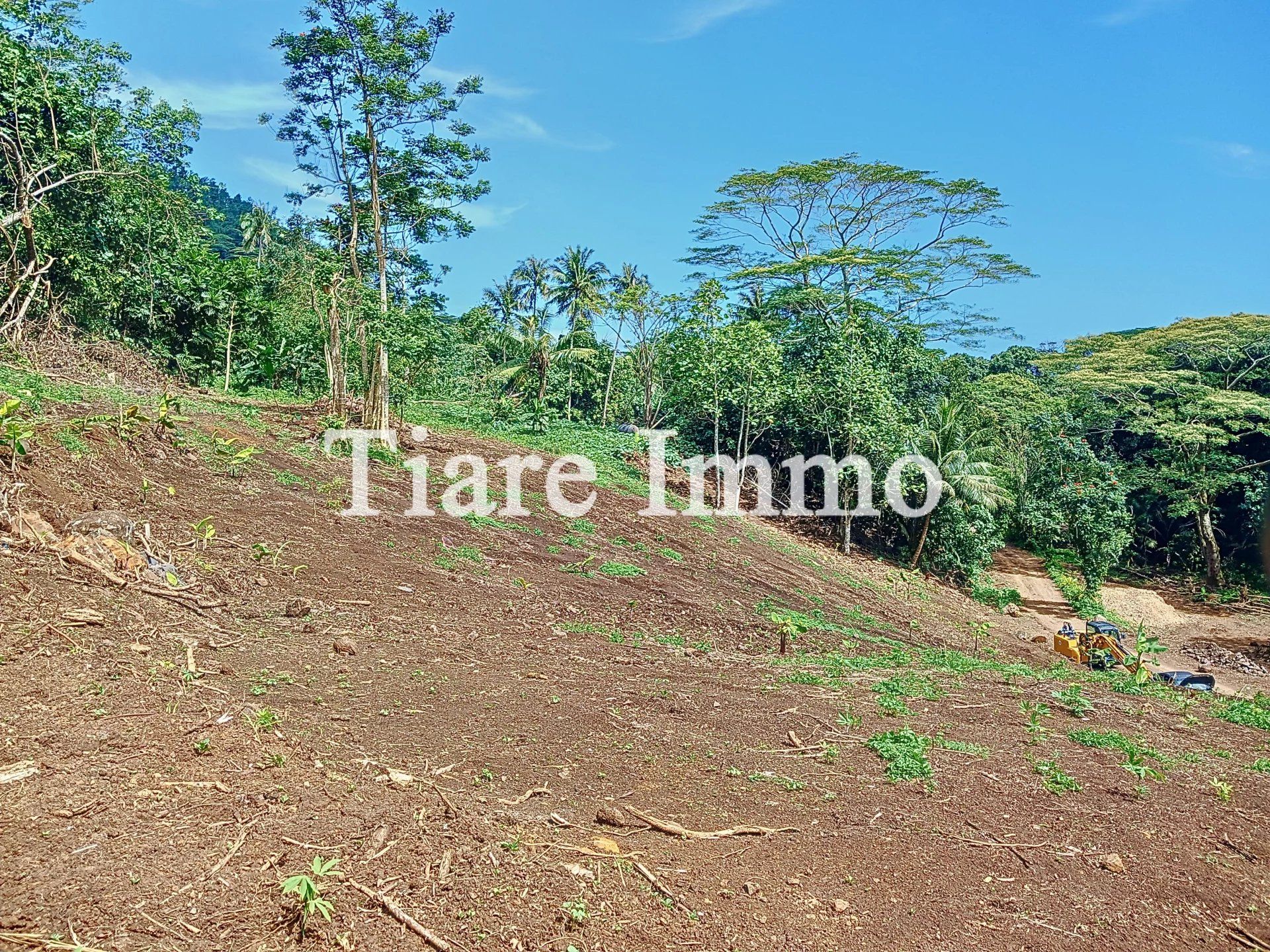 Land in Moorea-Maiao, Îles du Vent 12817847