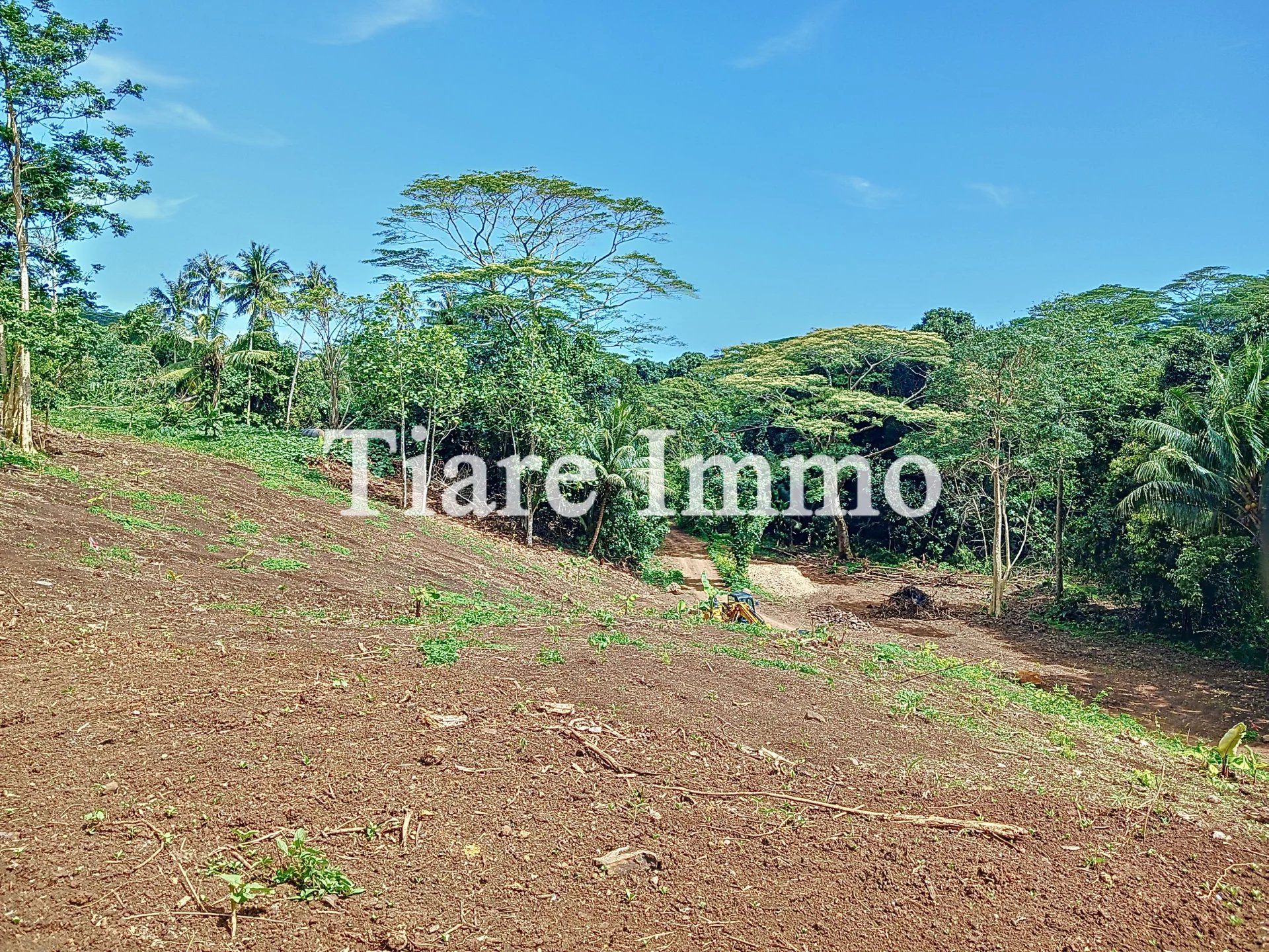 Land in Moorea-Maiao, Îles du Vent 12817847