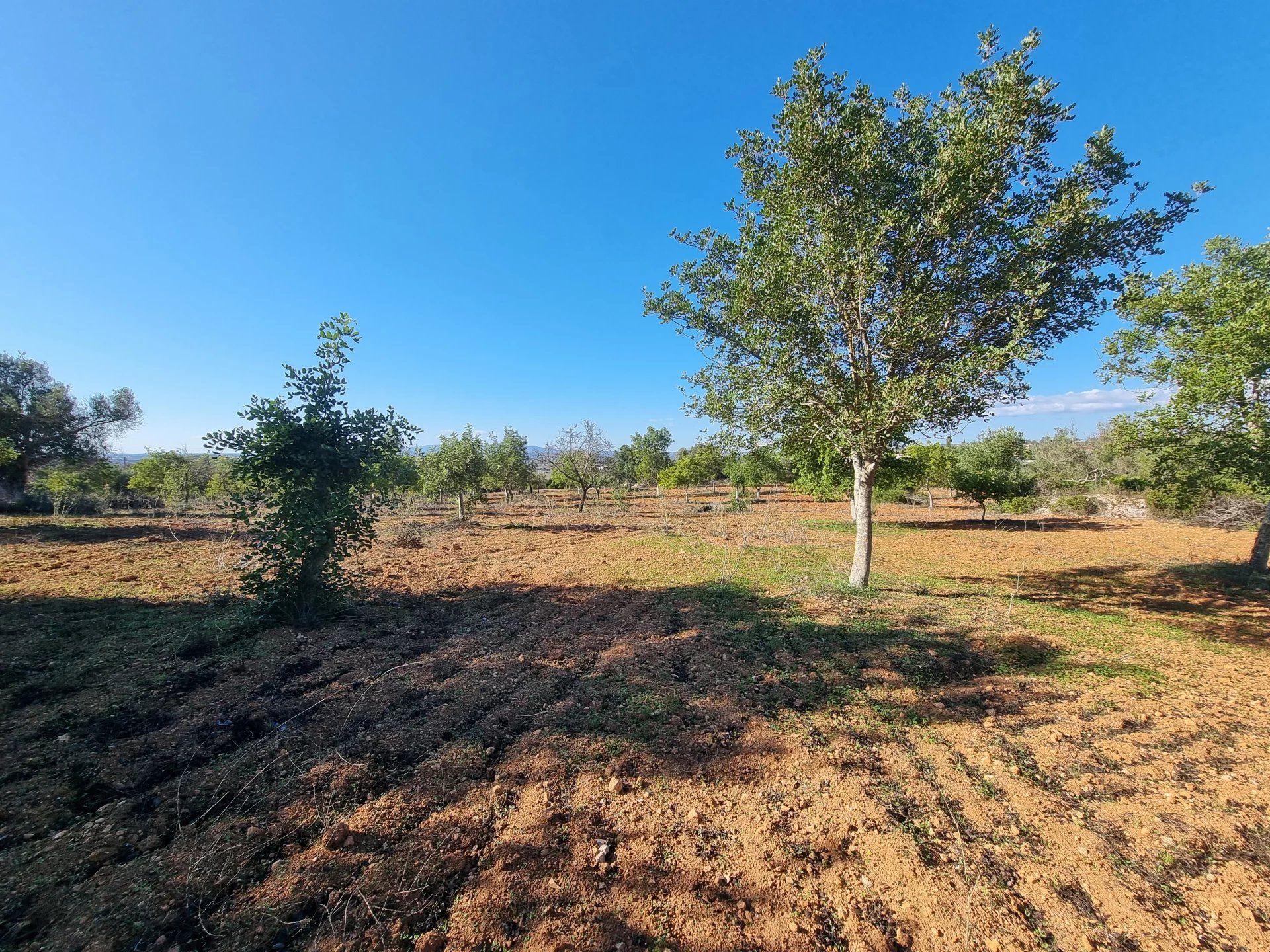 rumah dalam Albufeira, Faro 12817852